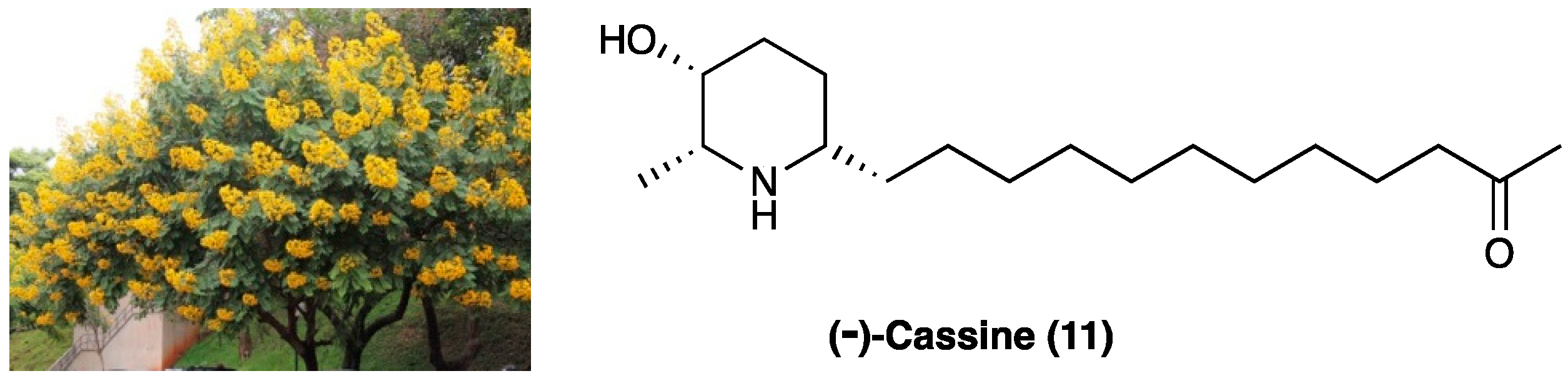 Molecules 29 00815 g009