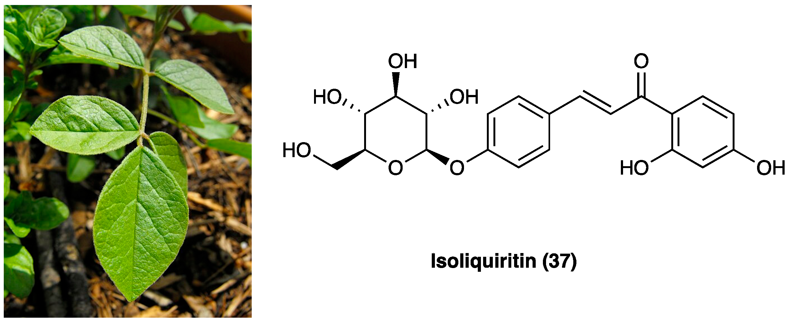 Molecules 29 00815 g024