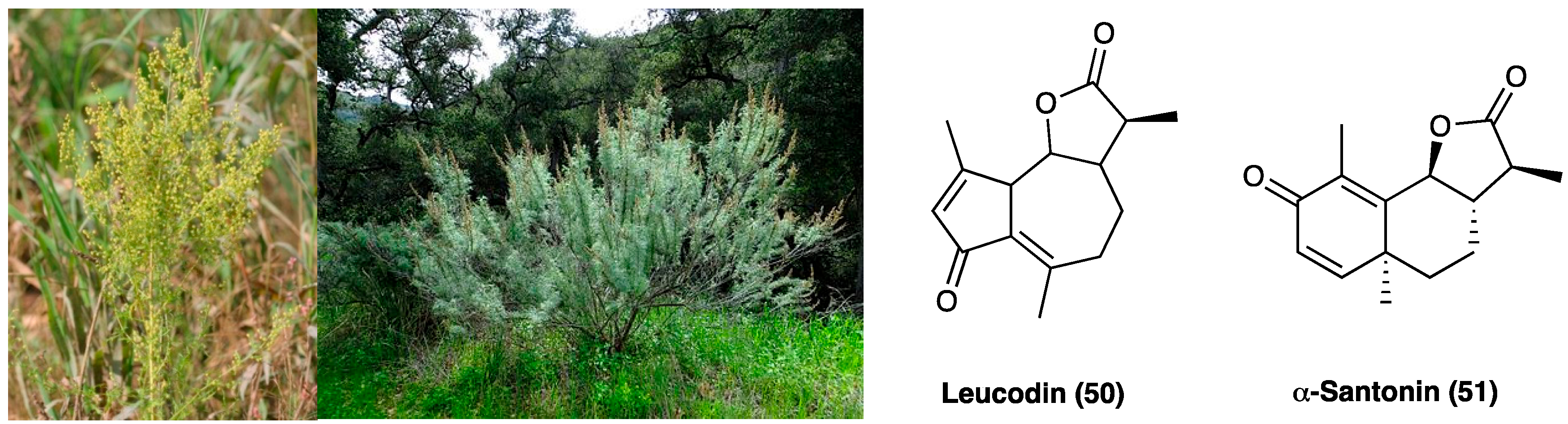 Molecules 29 00815 g026