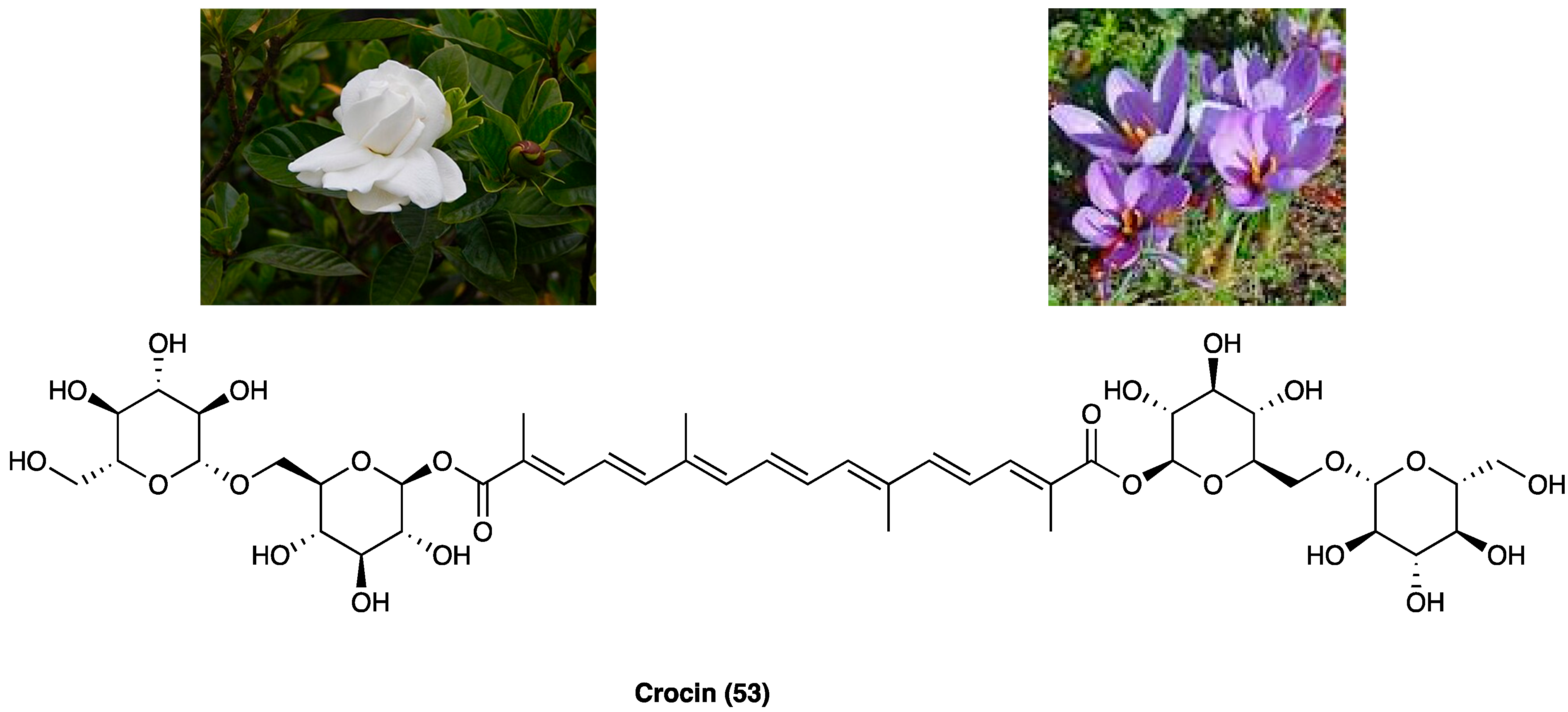 Molecules 29 00815 g028