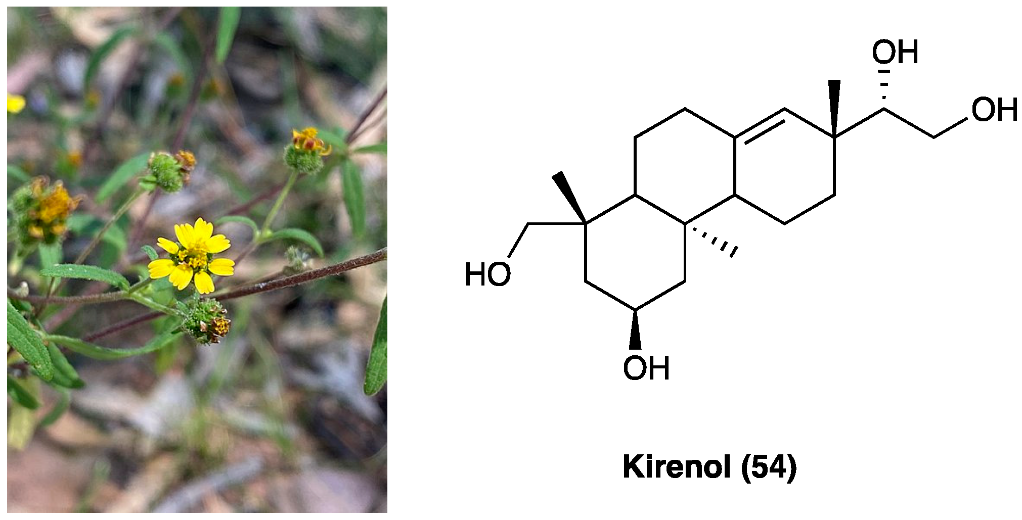 Molecules 29 00815 g029