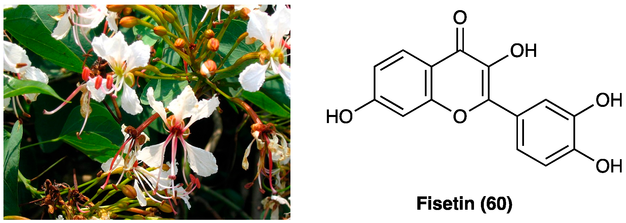 Molecules 29 00815 g034