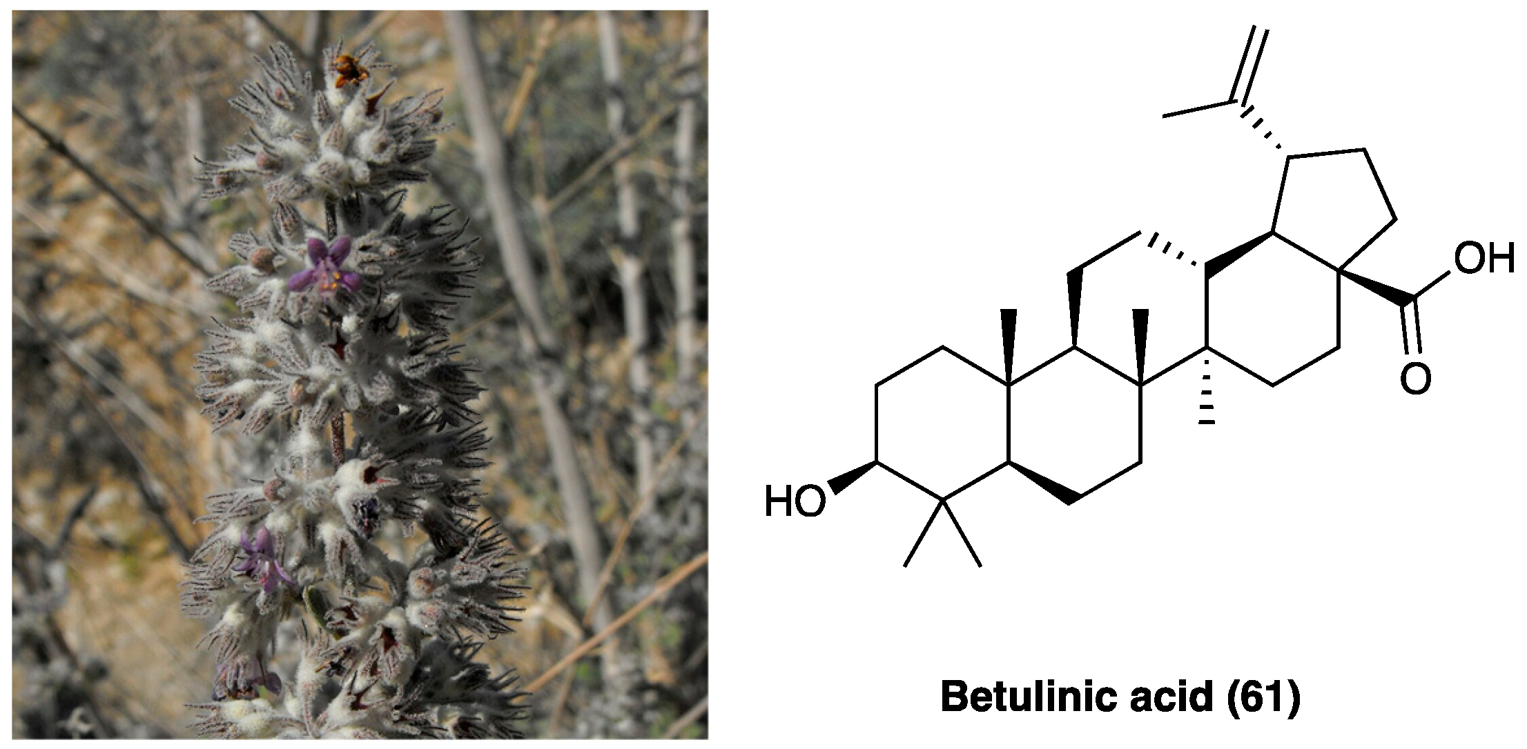 Molecules 29 00815 g035