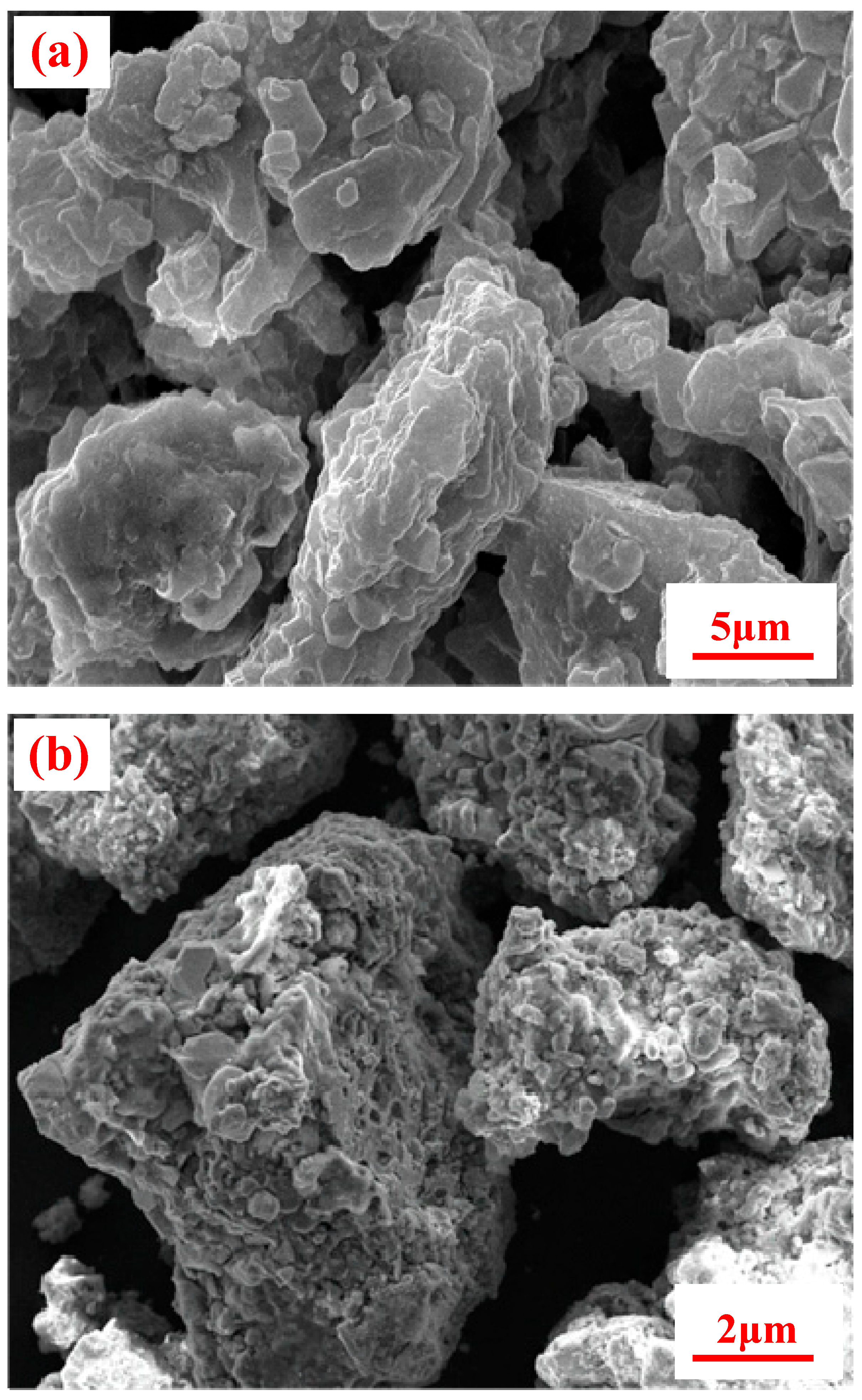 Molecules 29 00826 g005