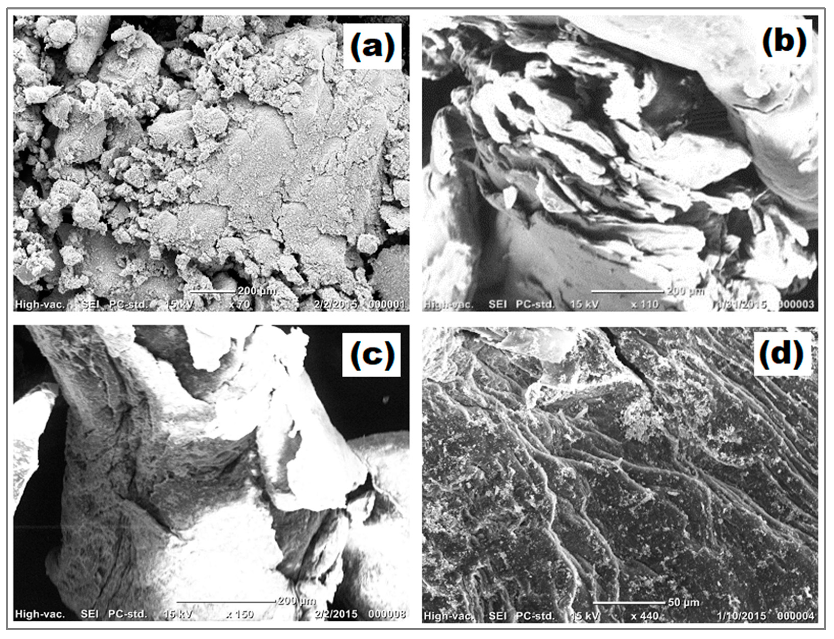 Molecules 29 00828 g003