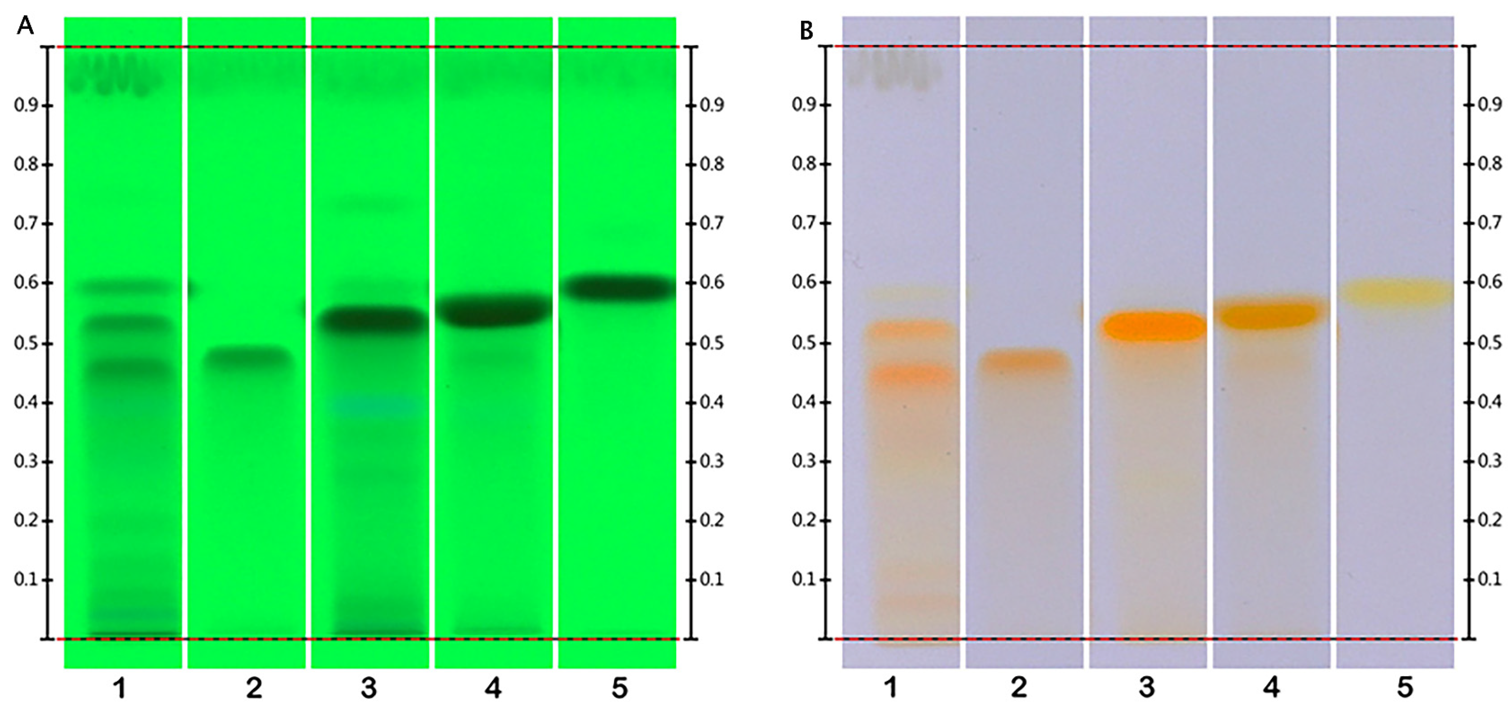 Molecules 29 00833 g002