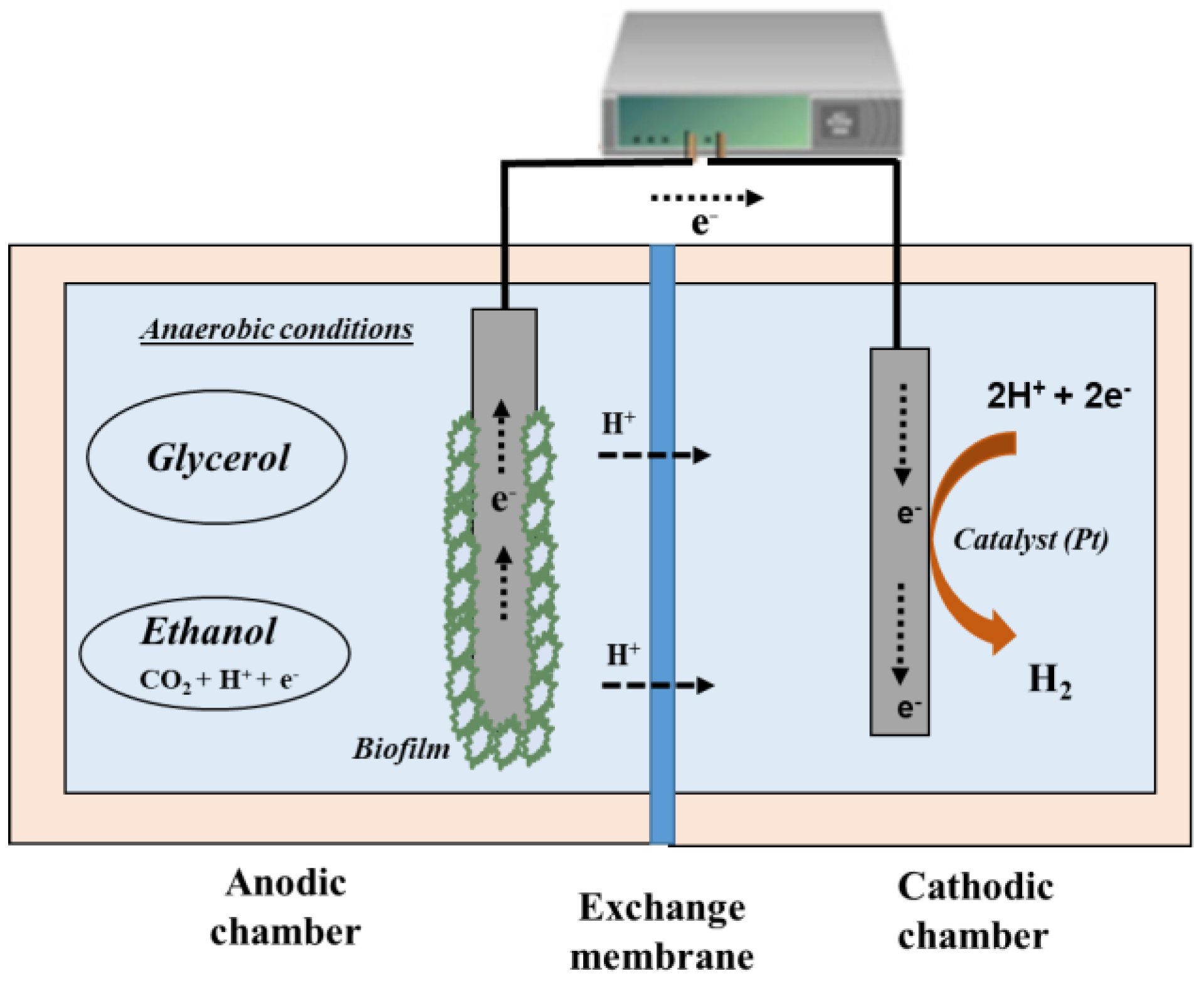 Molecules 29 00834 g002