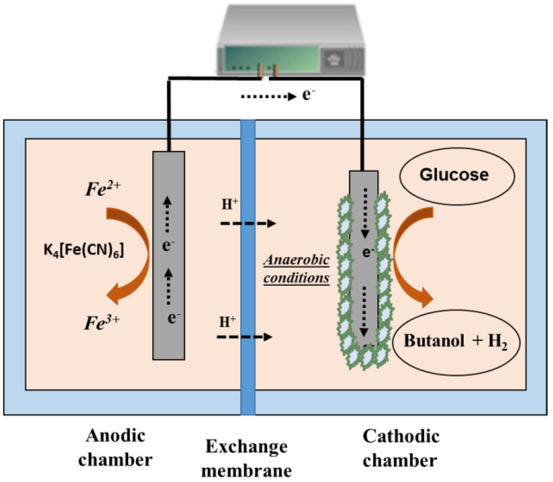 Molecules 29 00834 g003