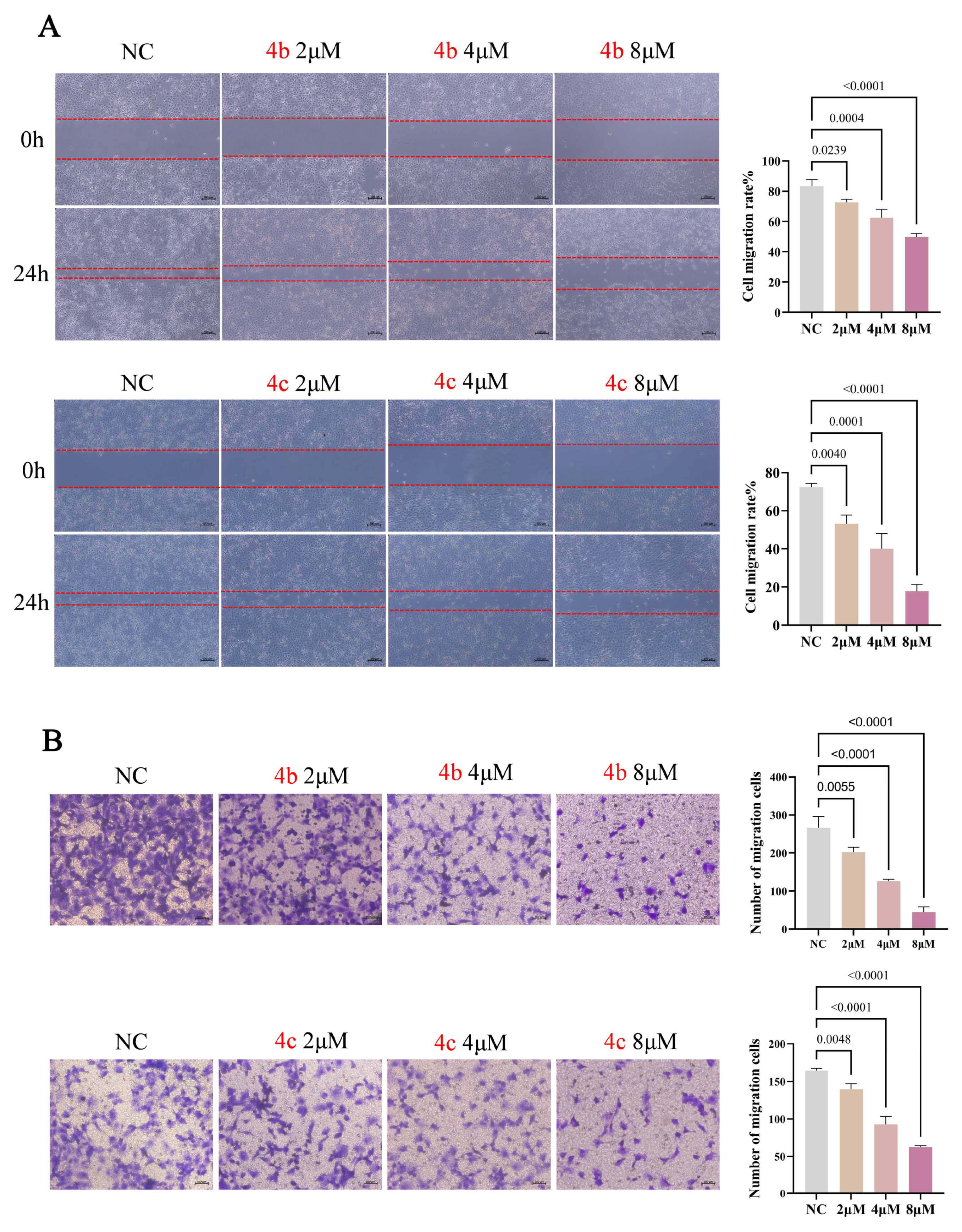 Molecules 29 00837 g005