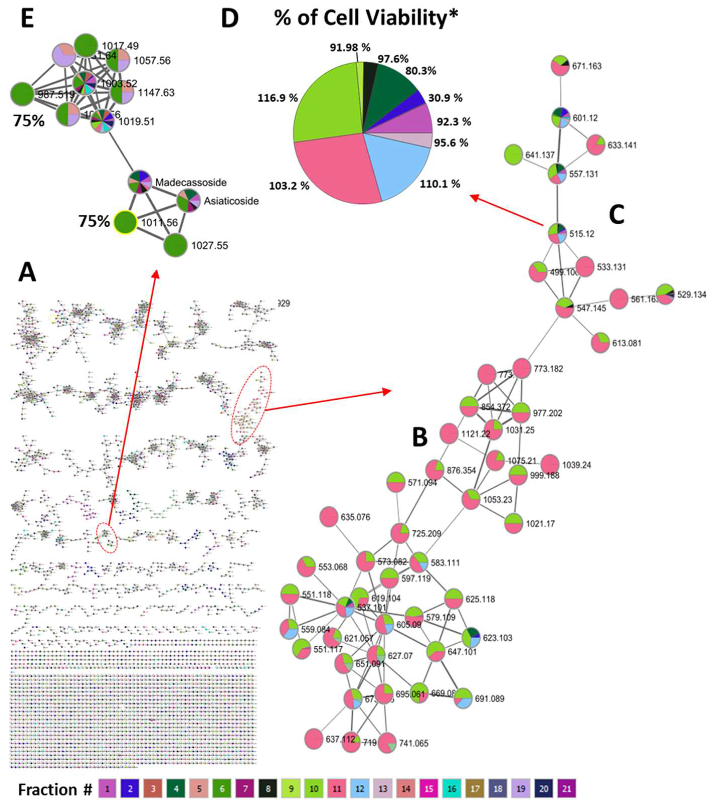Molecules 29 00838 g003