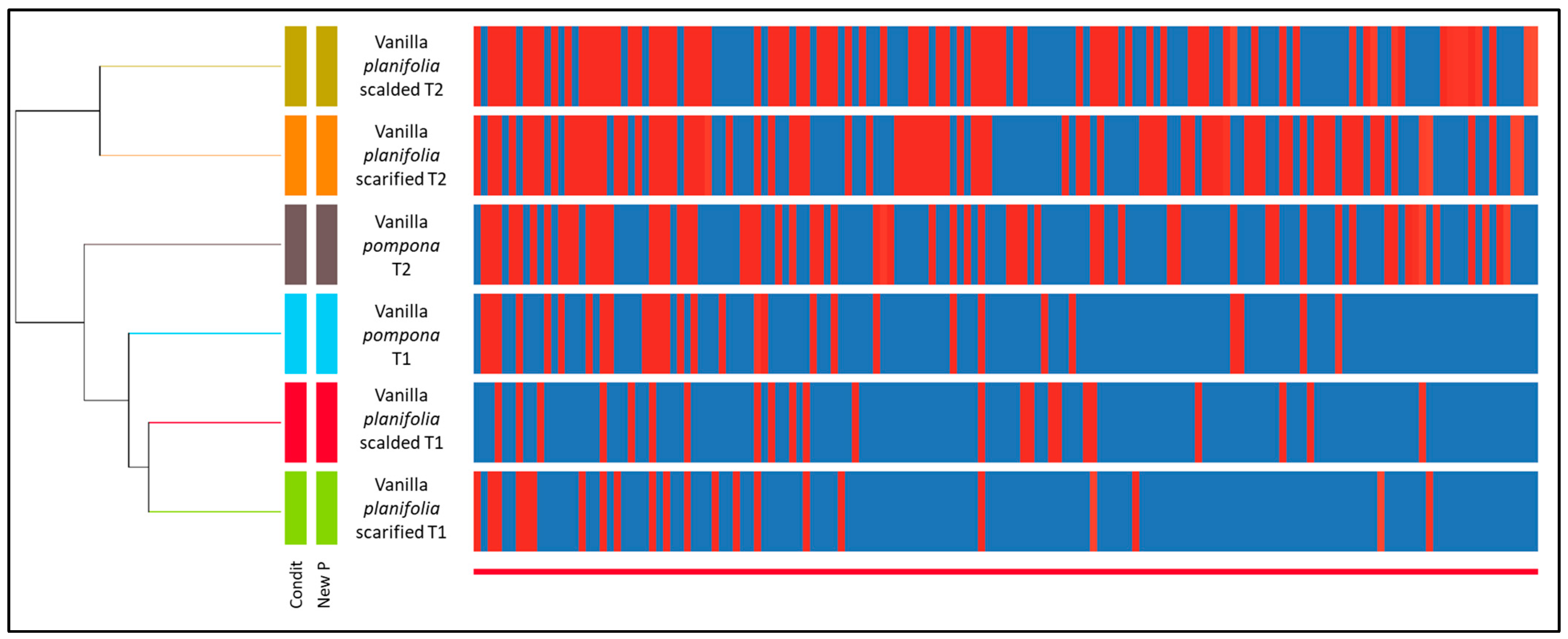 Molecules 29 00839 g001