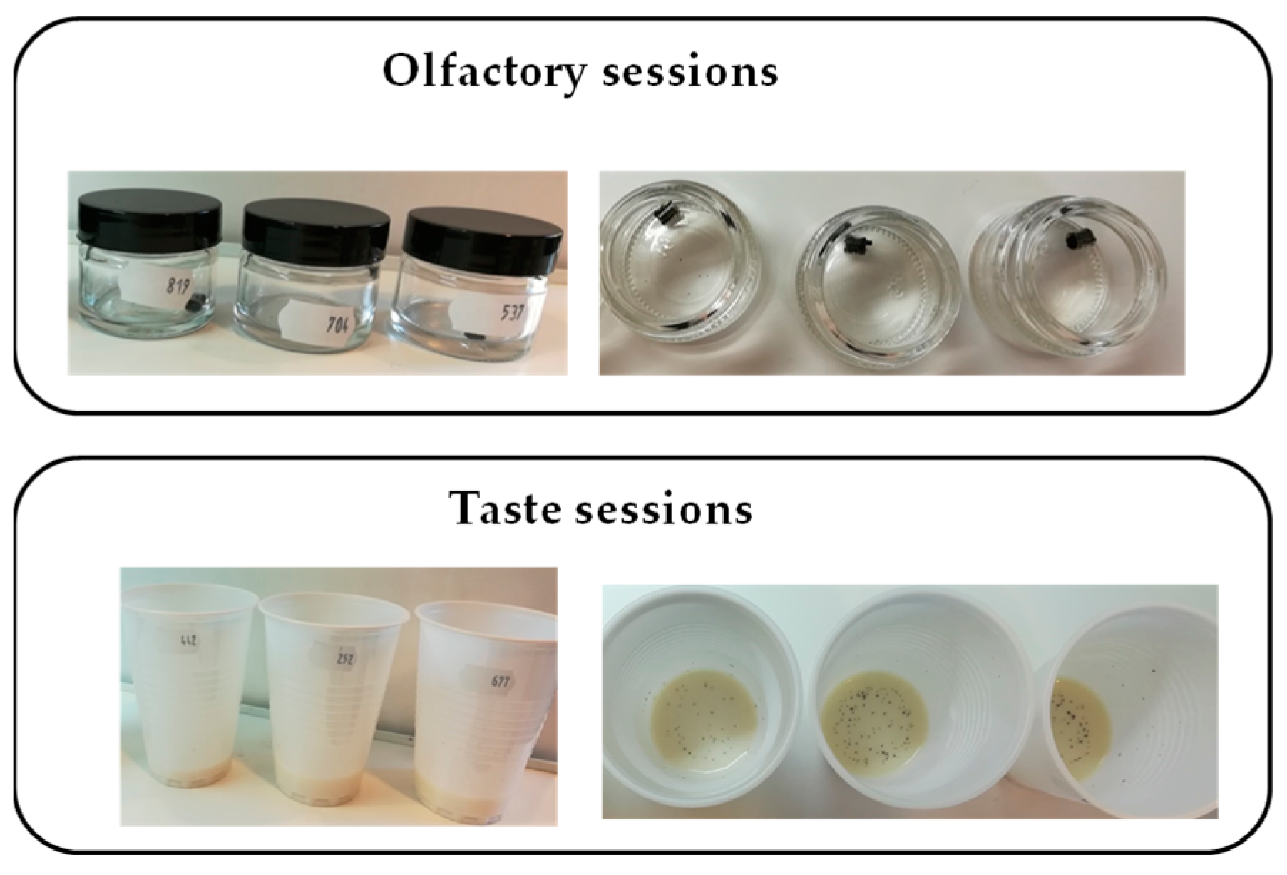 Molecules 29 00839 g006