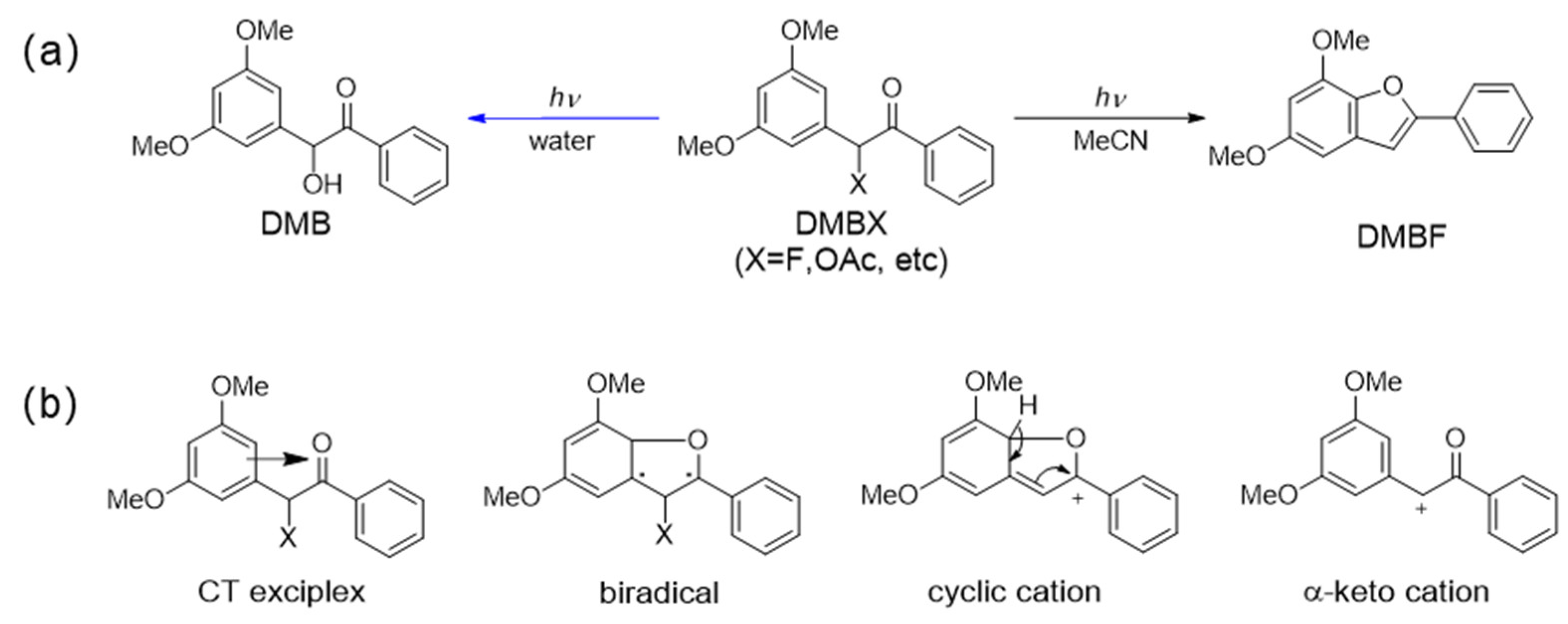 Molecules 29 00842 sch001