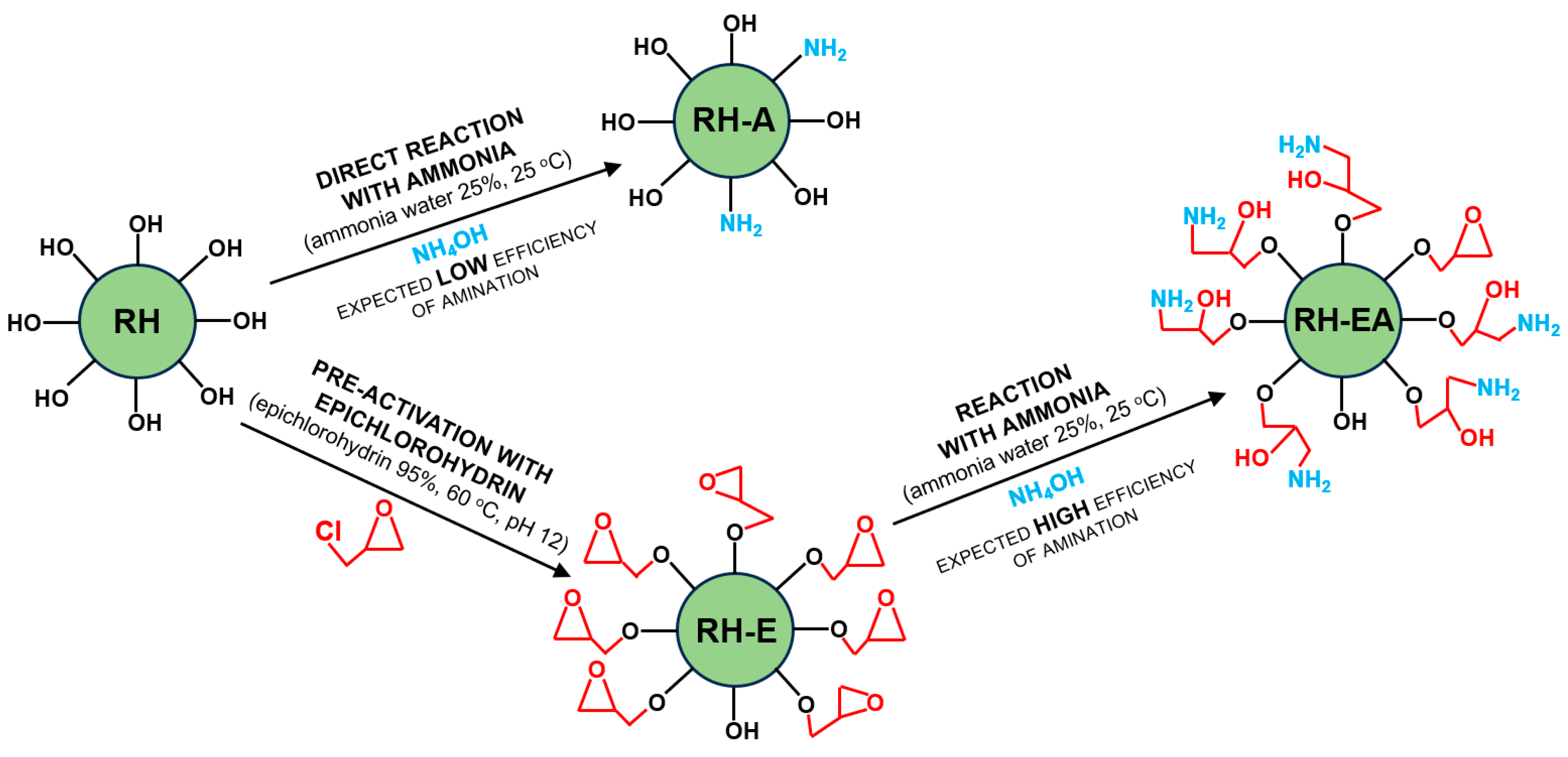 Molecules 29 00843 g006