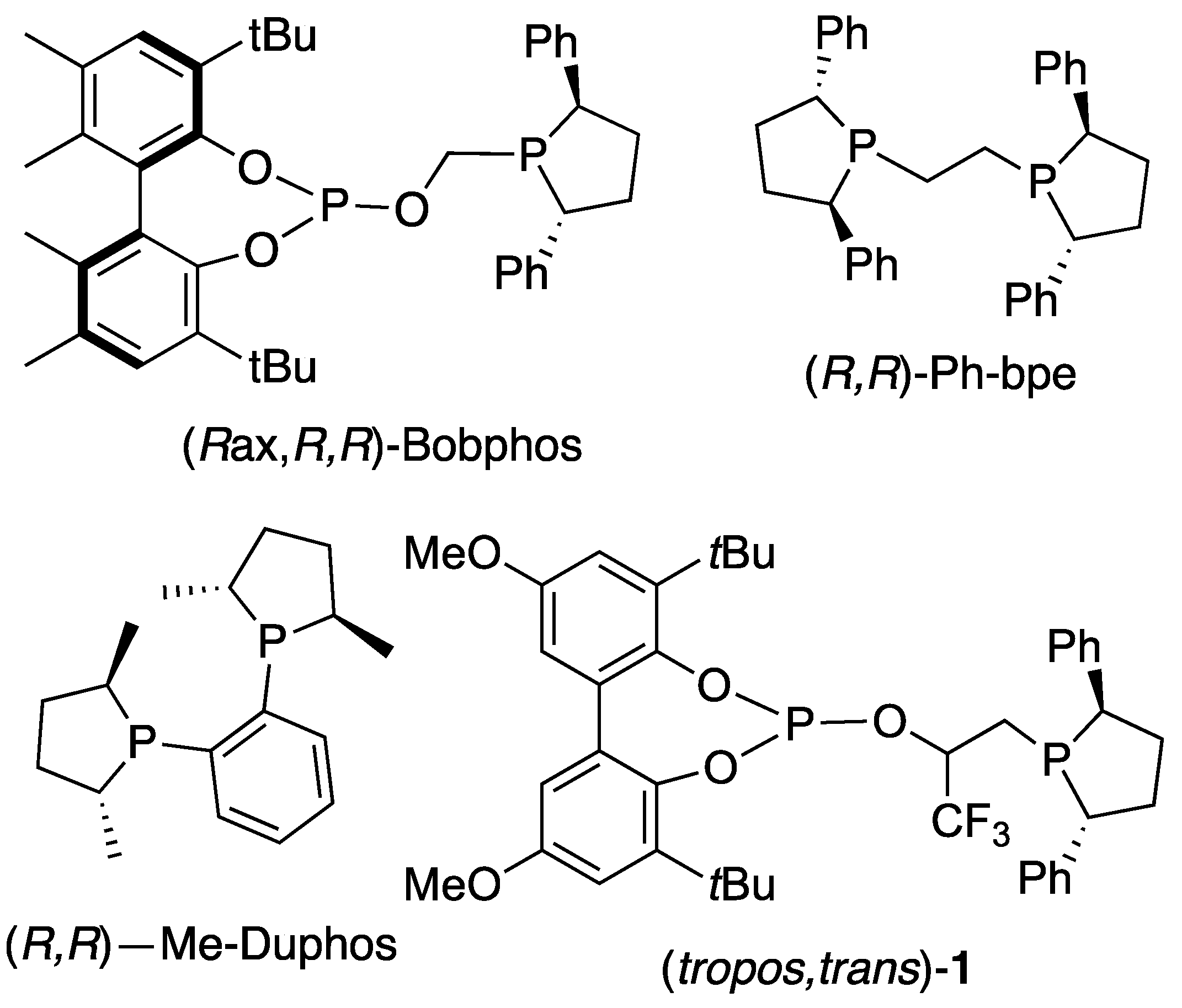 Molecules 29 00845 g001