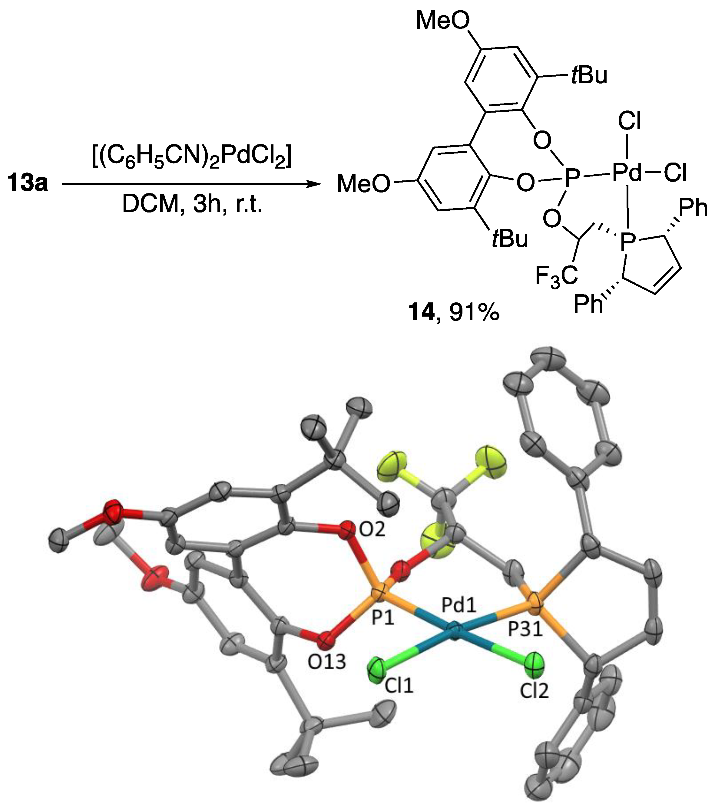 Molecules 29 00845 sch005