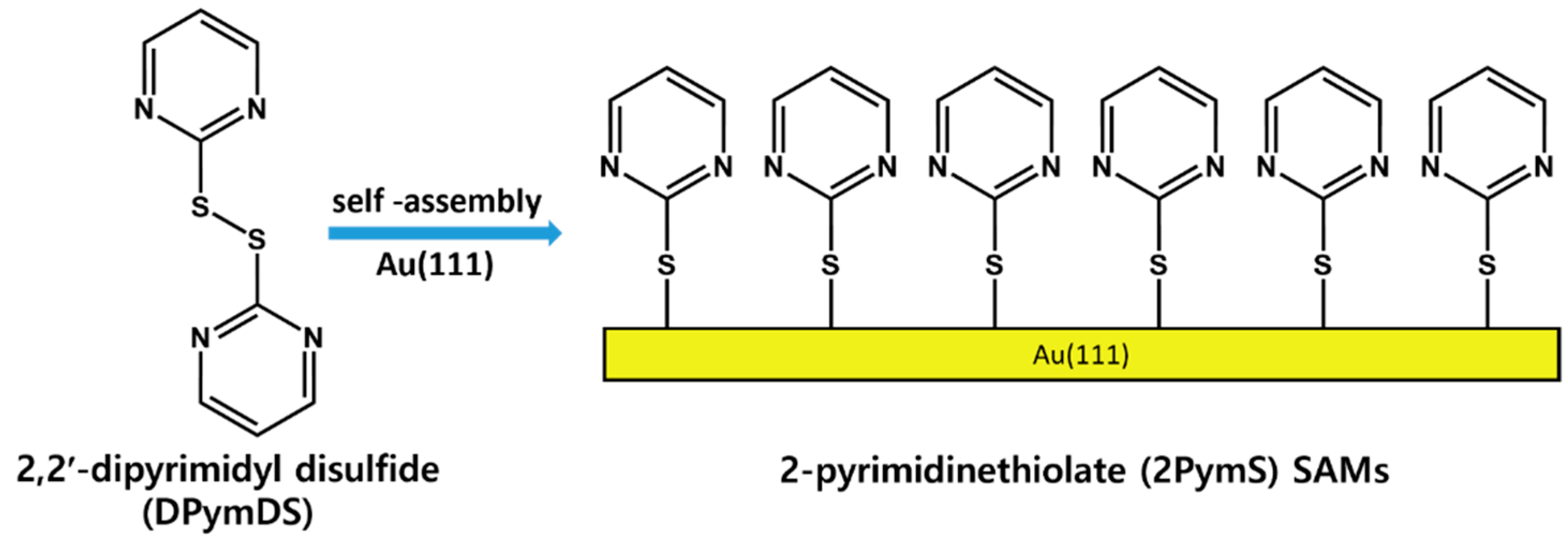 Molecules 29 00846 g001