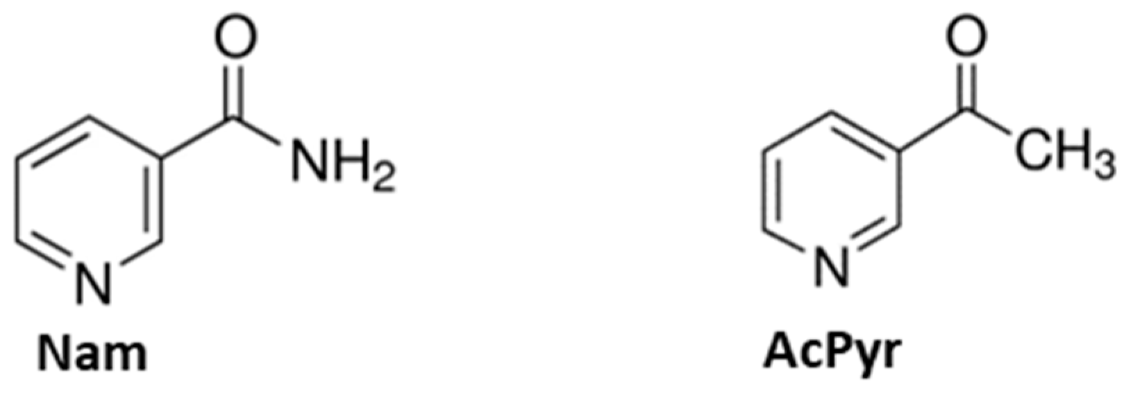 Molecules 29 00847 g001