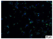 Molecules 29 00851 i009