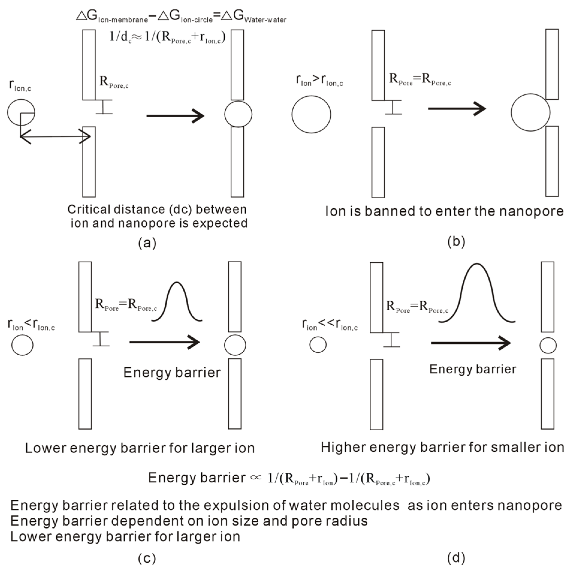 Molecules 29 00853 g004