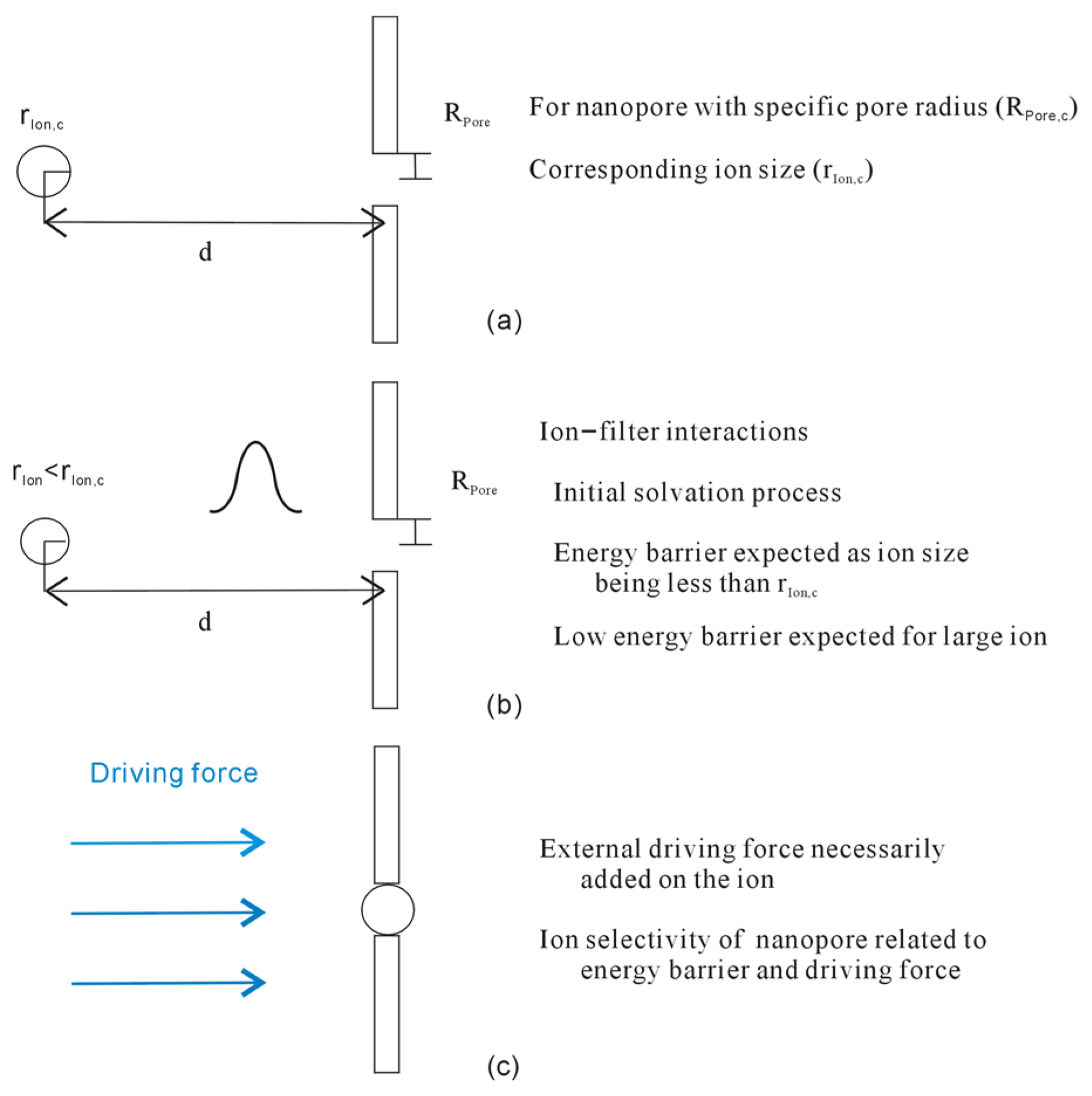 Molecules 29 00853 g012