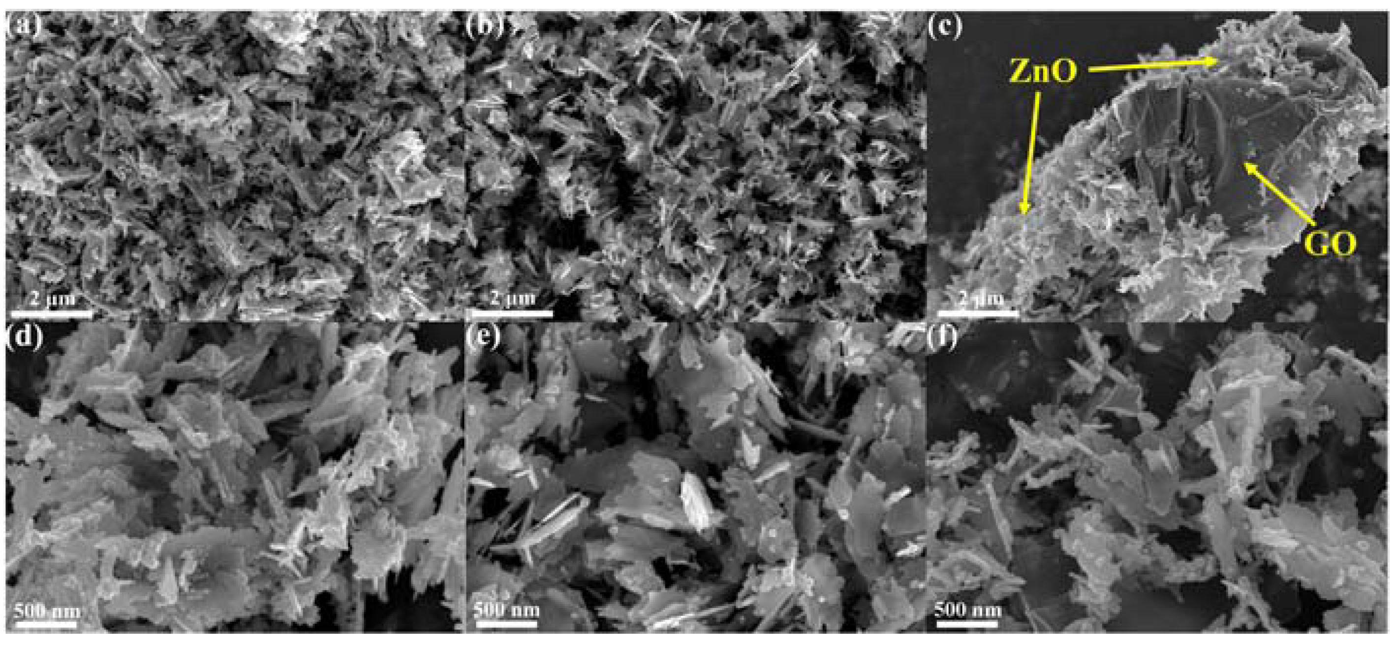 Molecules 29 00854 g003