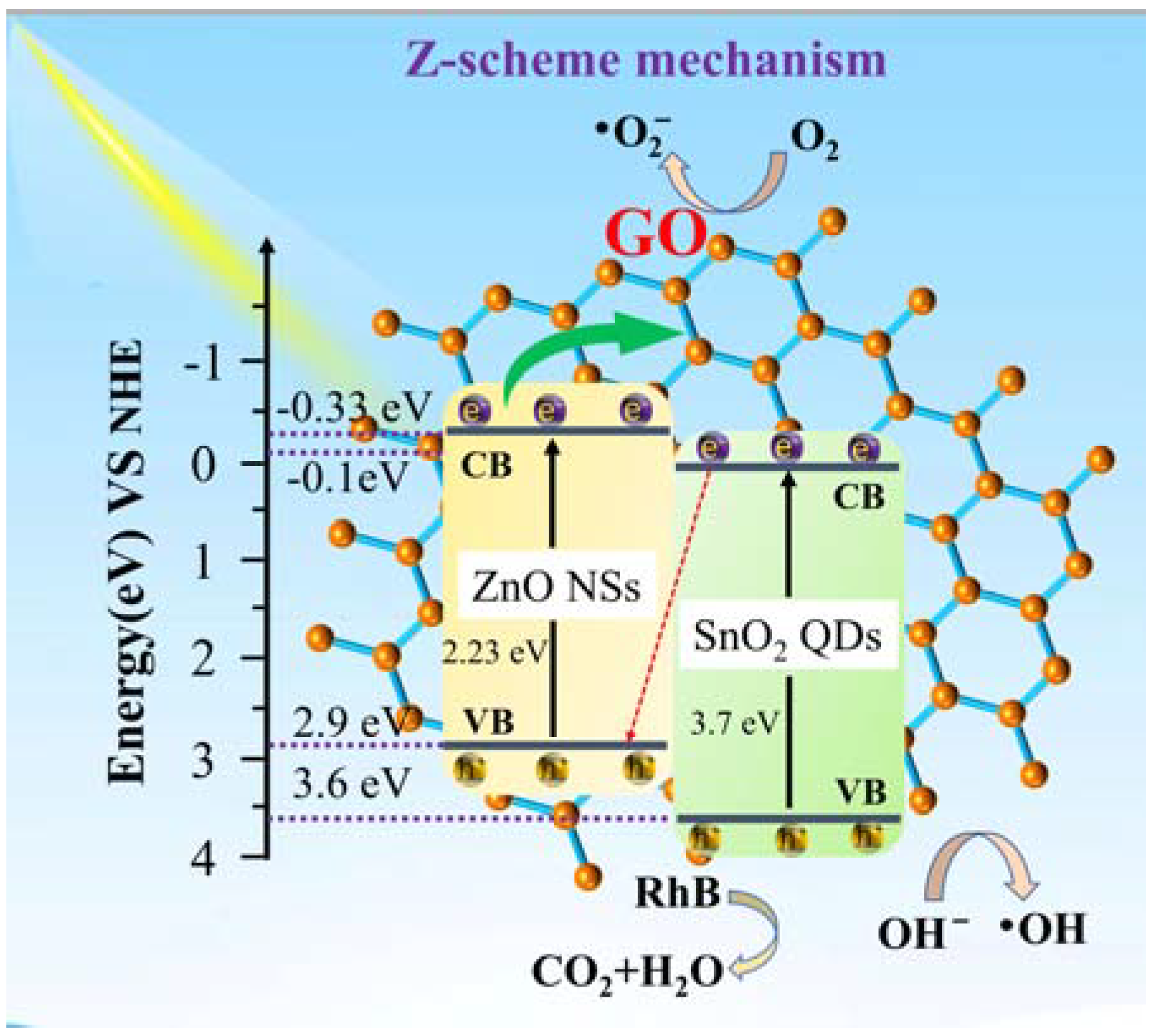 Molecules 29 00854 g012