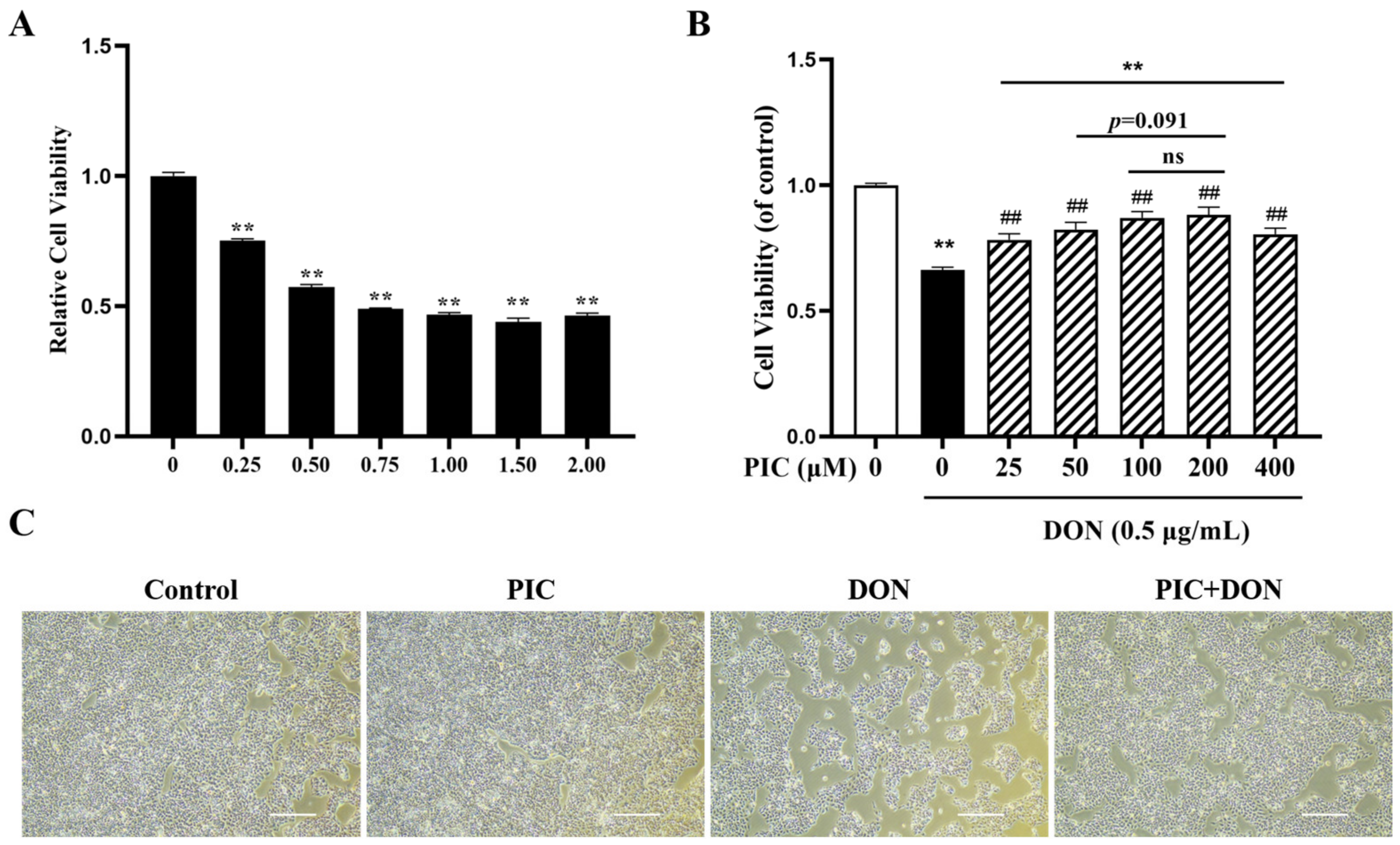 Molecules 29 00855 g002