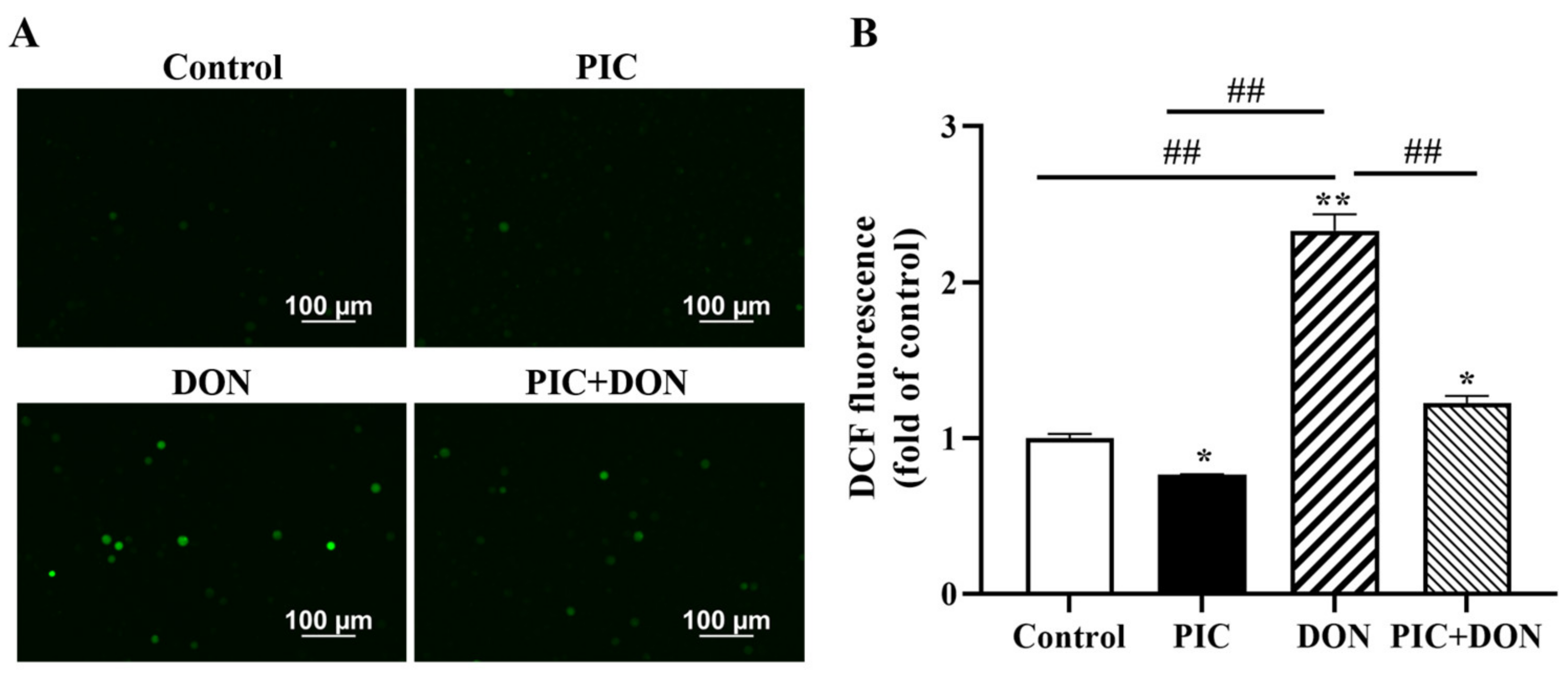 Molecules 29 00855 g004