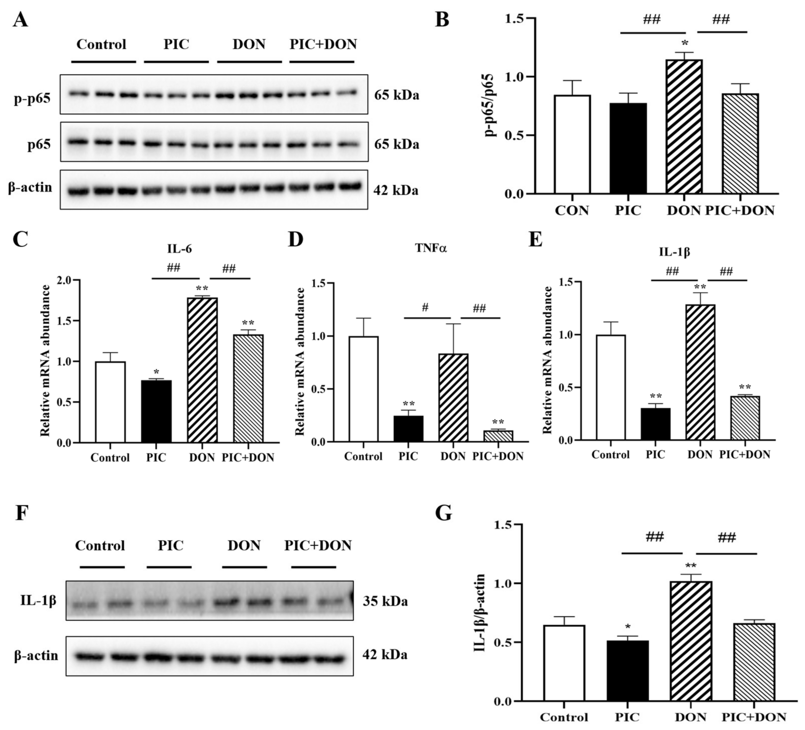 Molecules 29 00855 g006