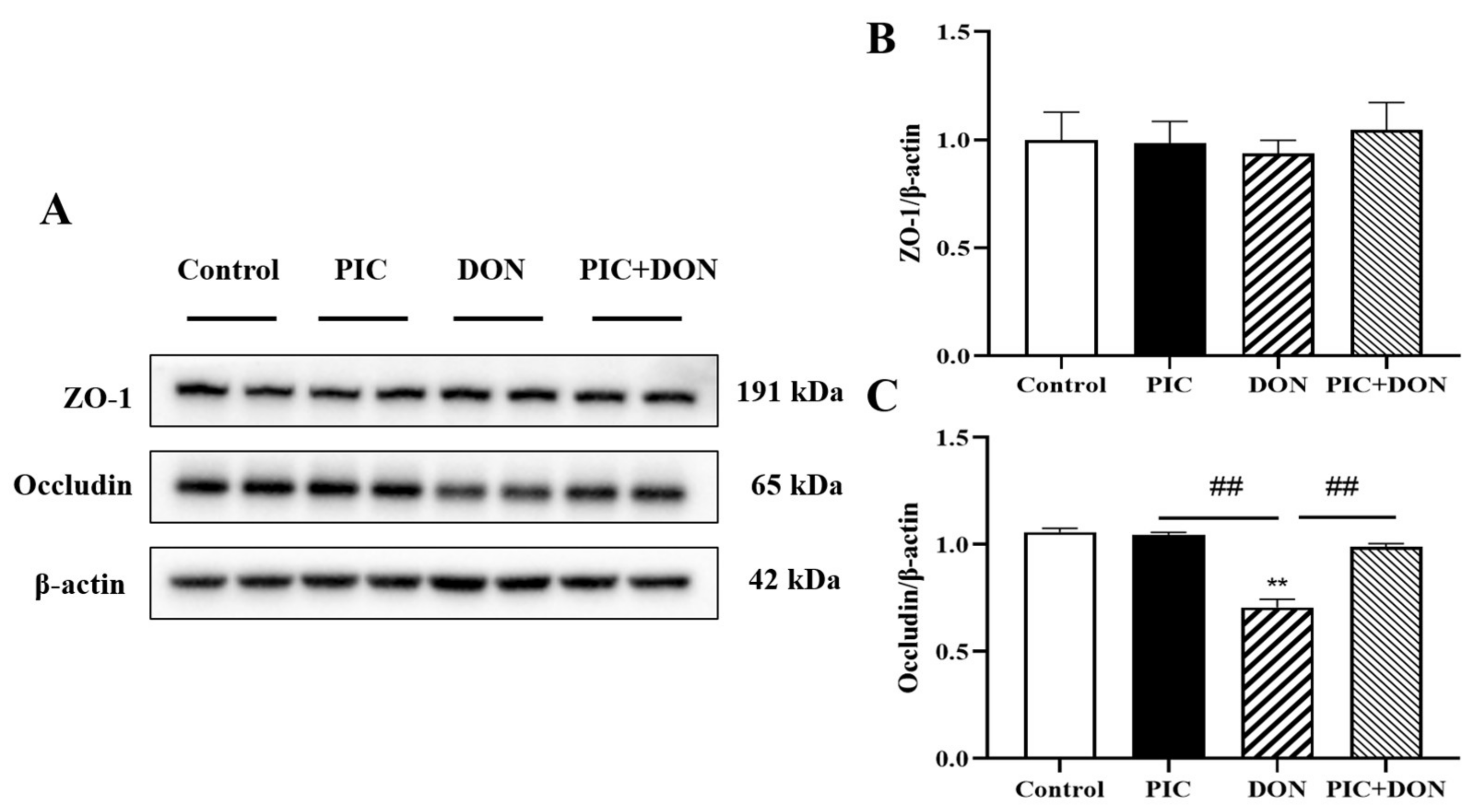 Molecules 29 00855 g007