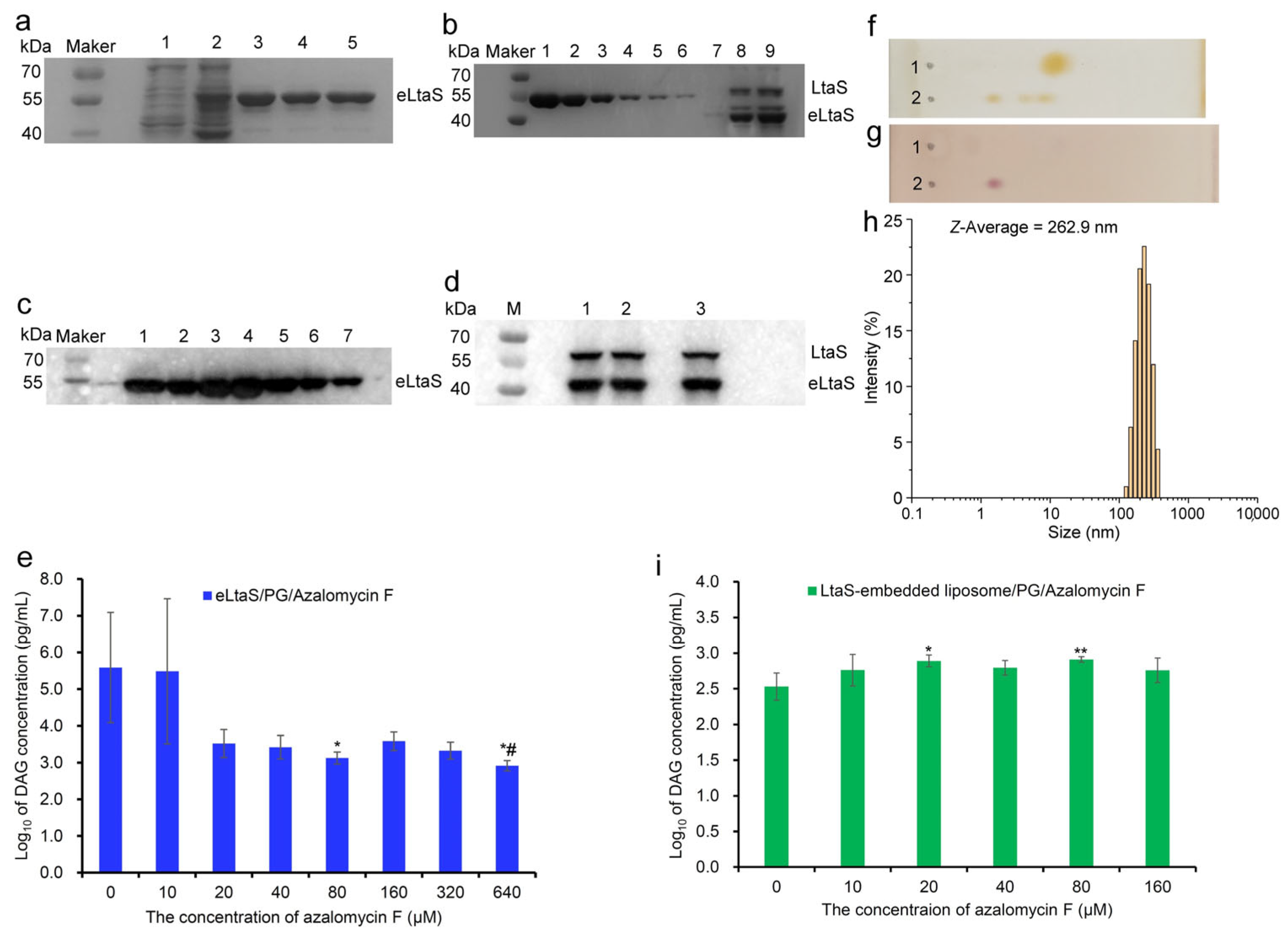 Molecules 29 00856 g004