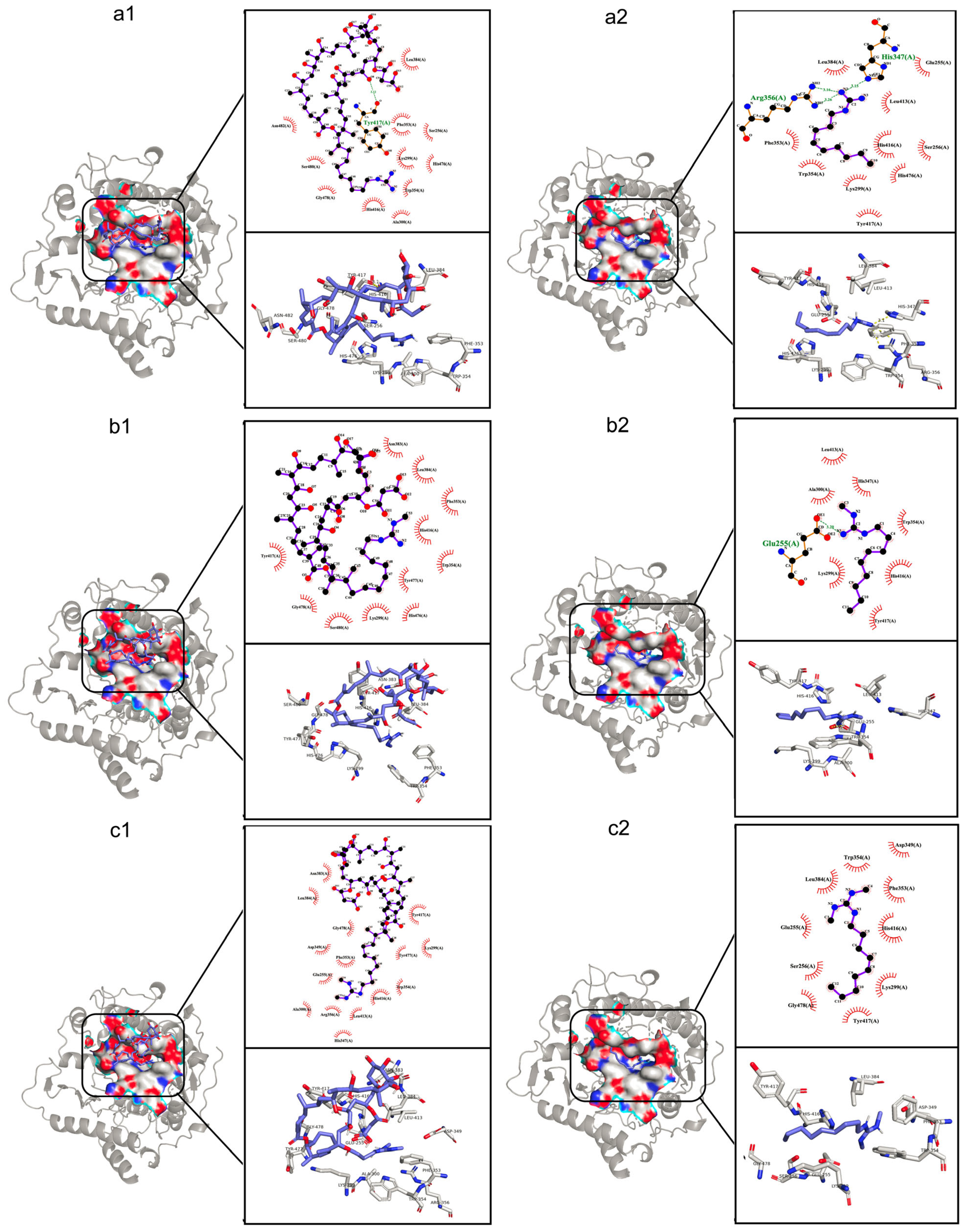 Molecules 29 00856 g006