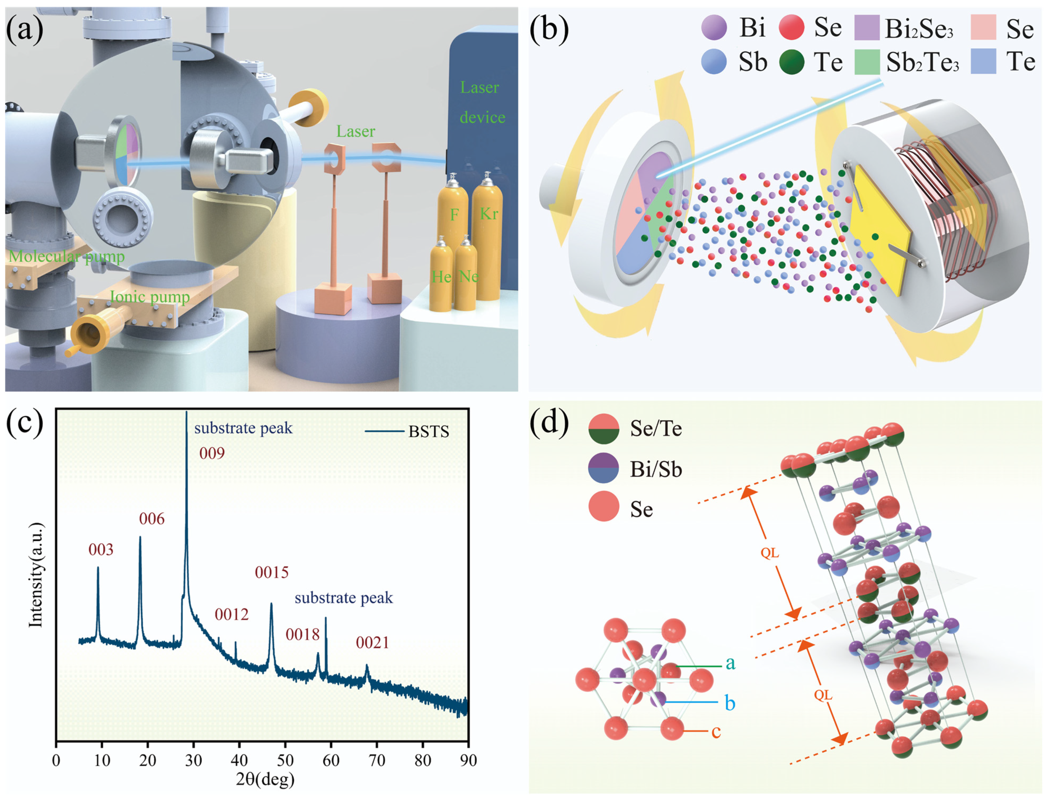 Molecules 29 00859 g001