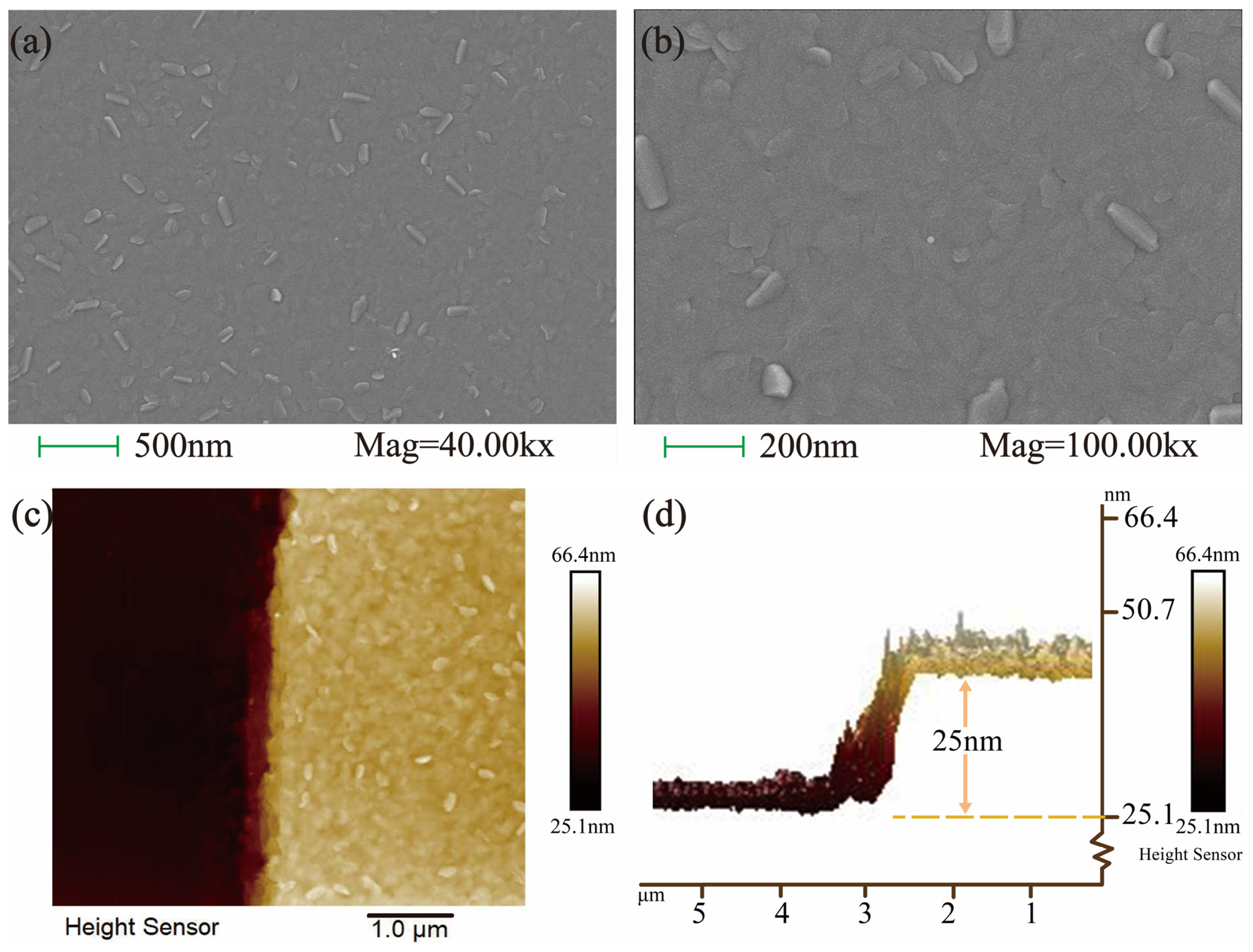 Molecules 29 00859 g002