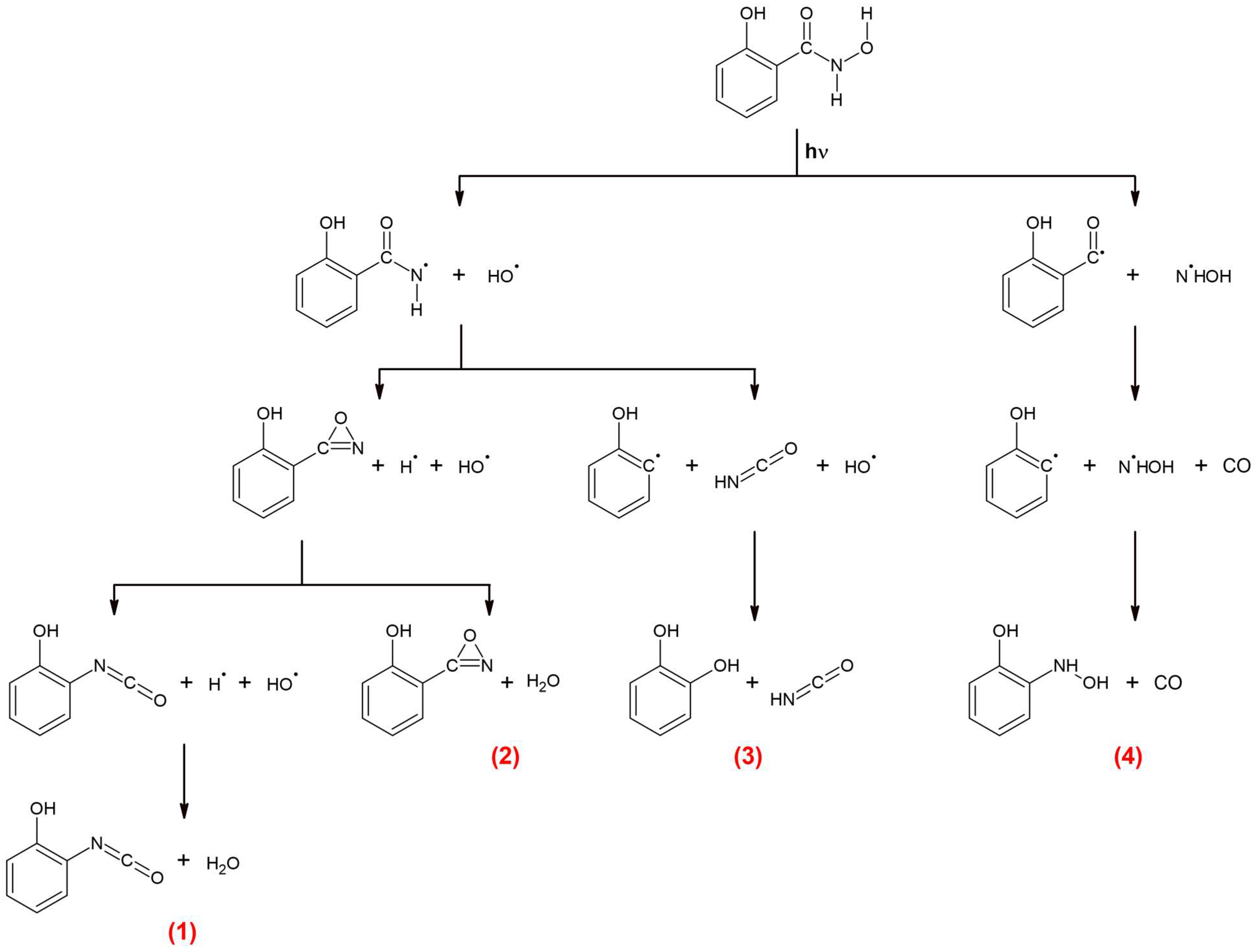 Molecules 29 00862 g008