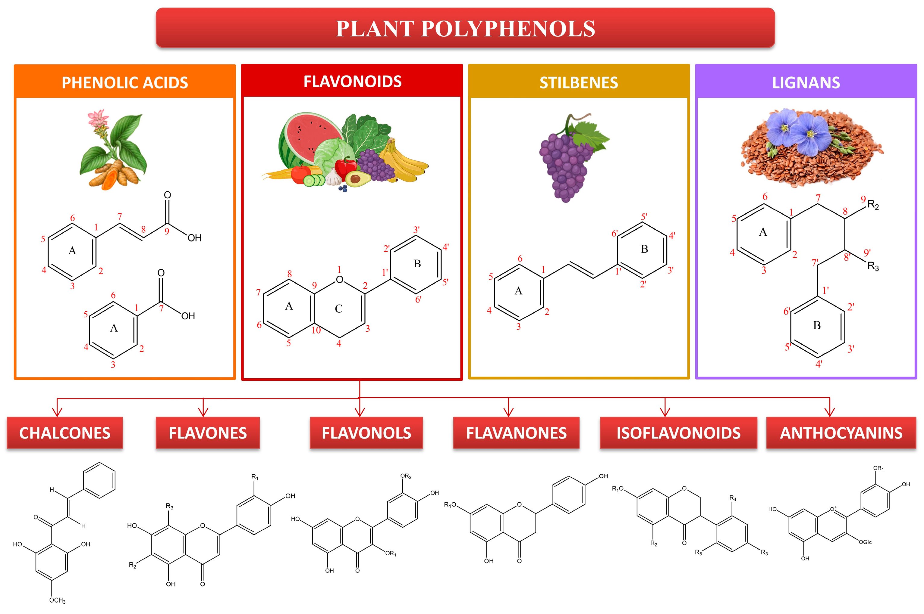 Molecules 29 00865 g001