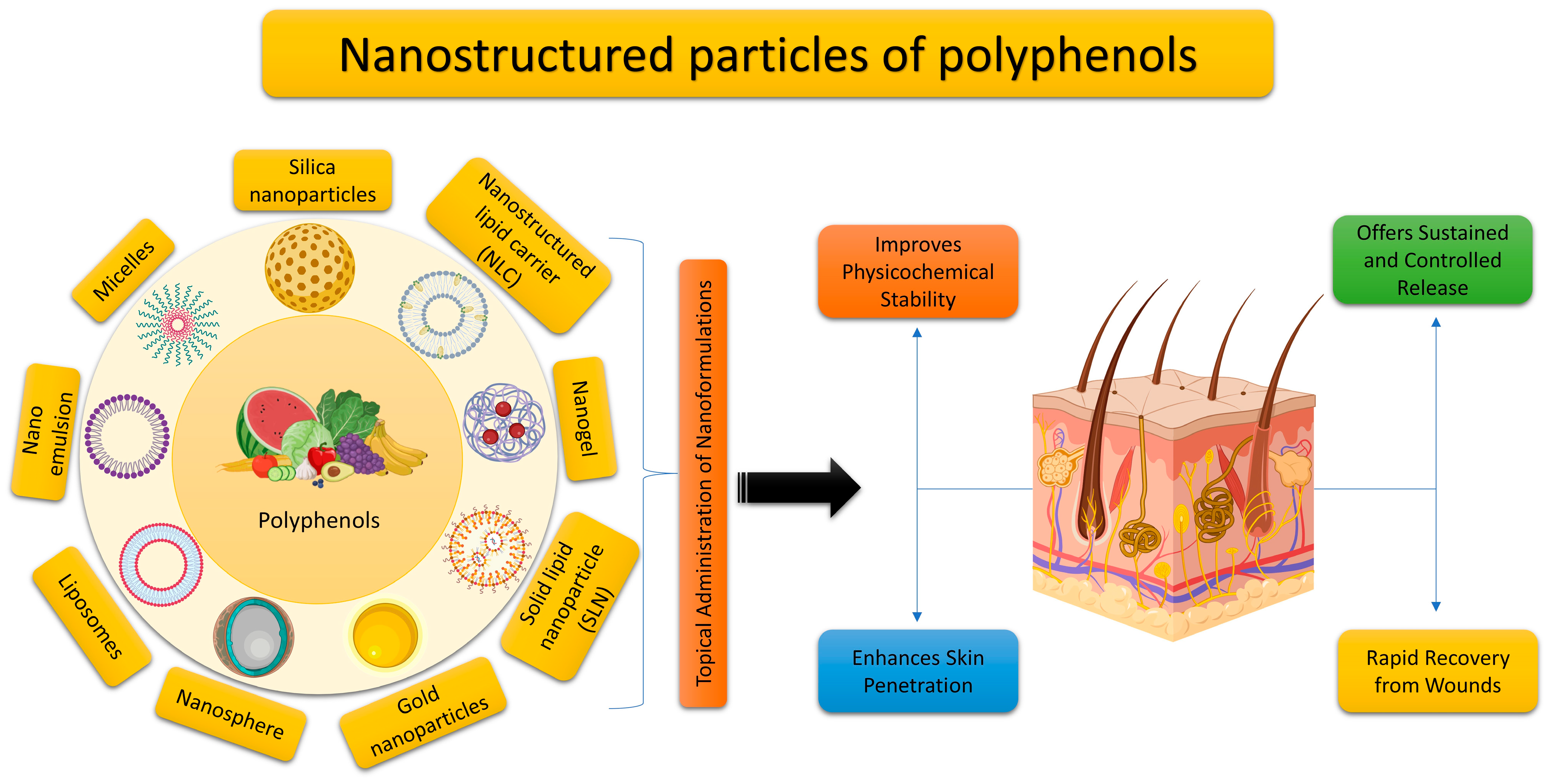 Molecules 29 00865 g005