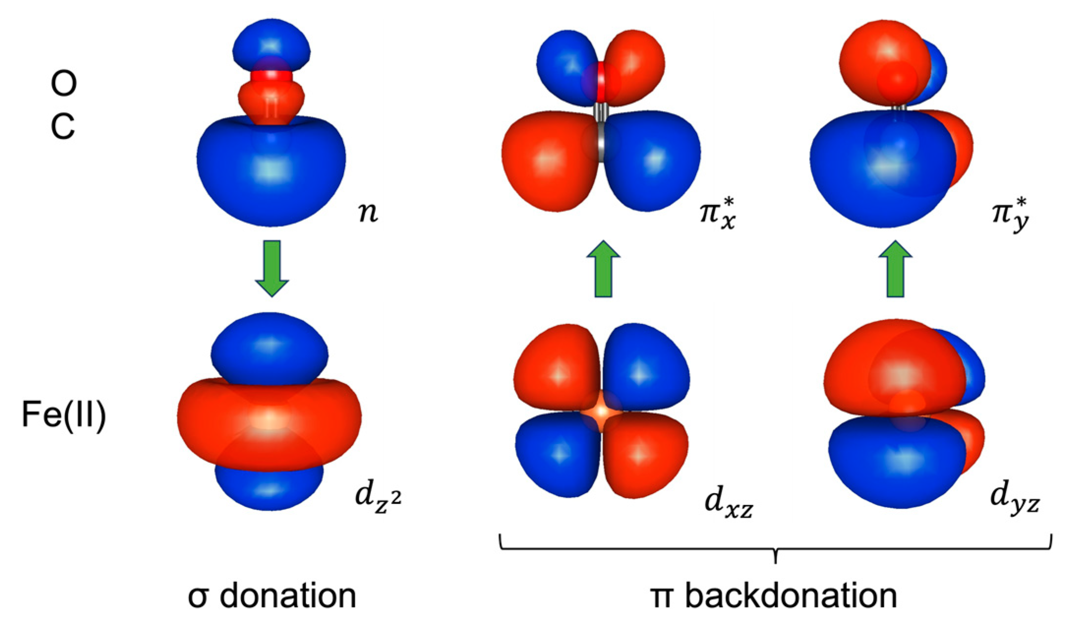 Molecules 29 00873 g001