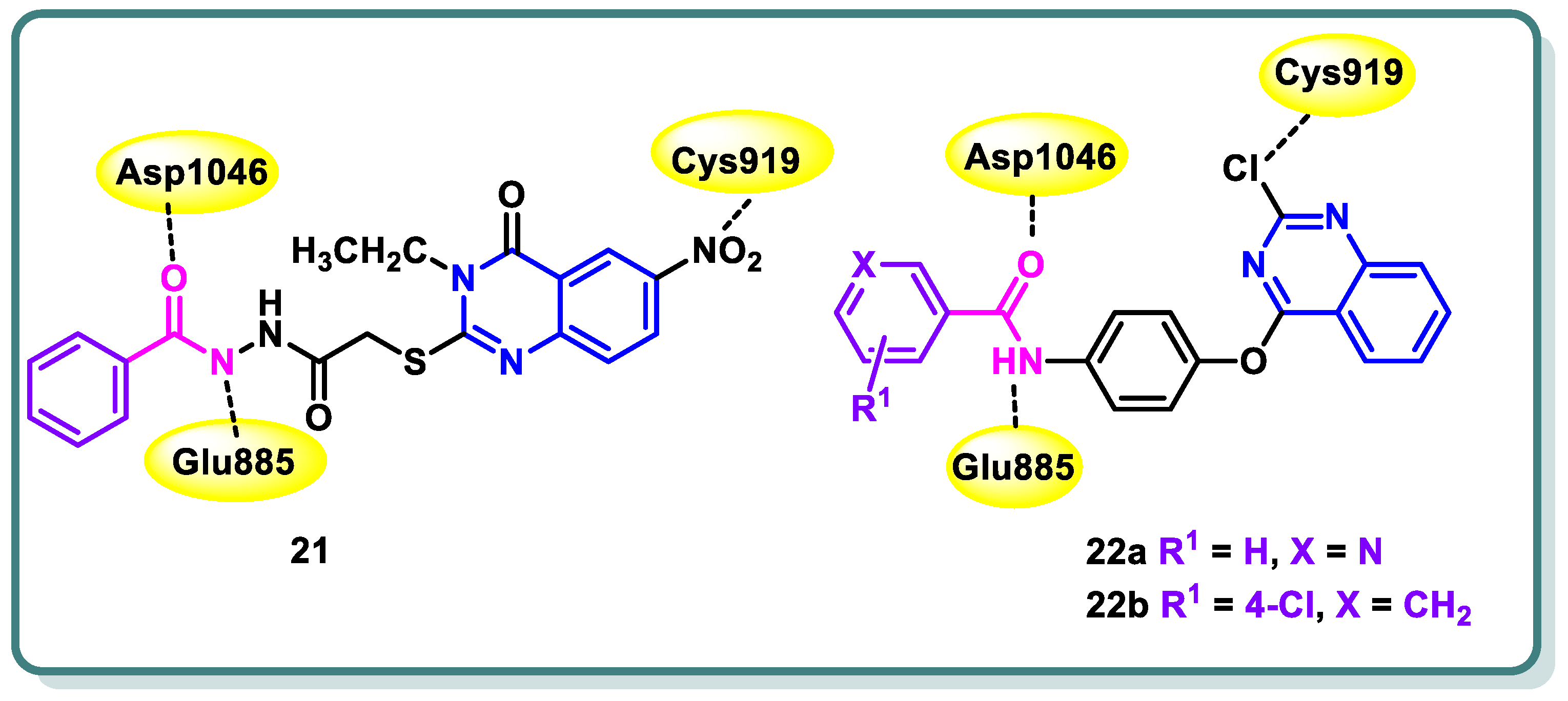 Molecules 29 00875 g010
