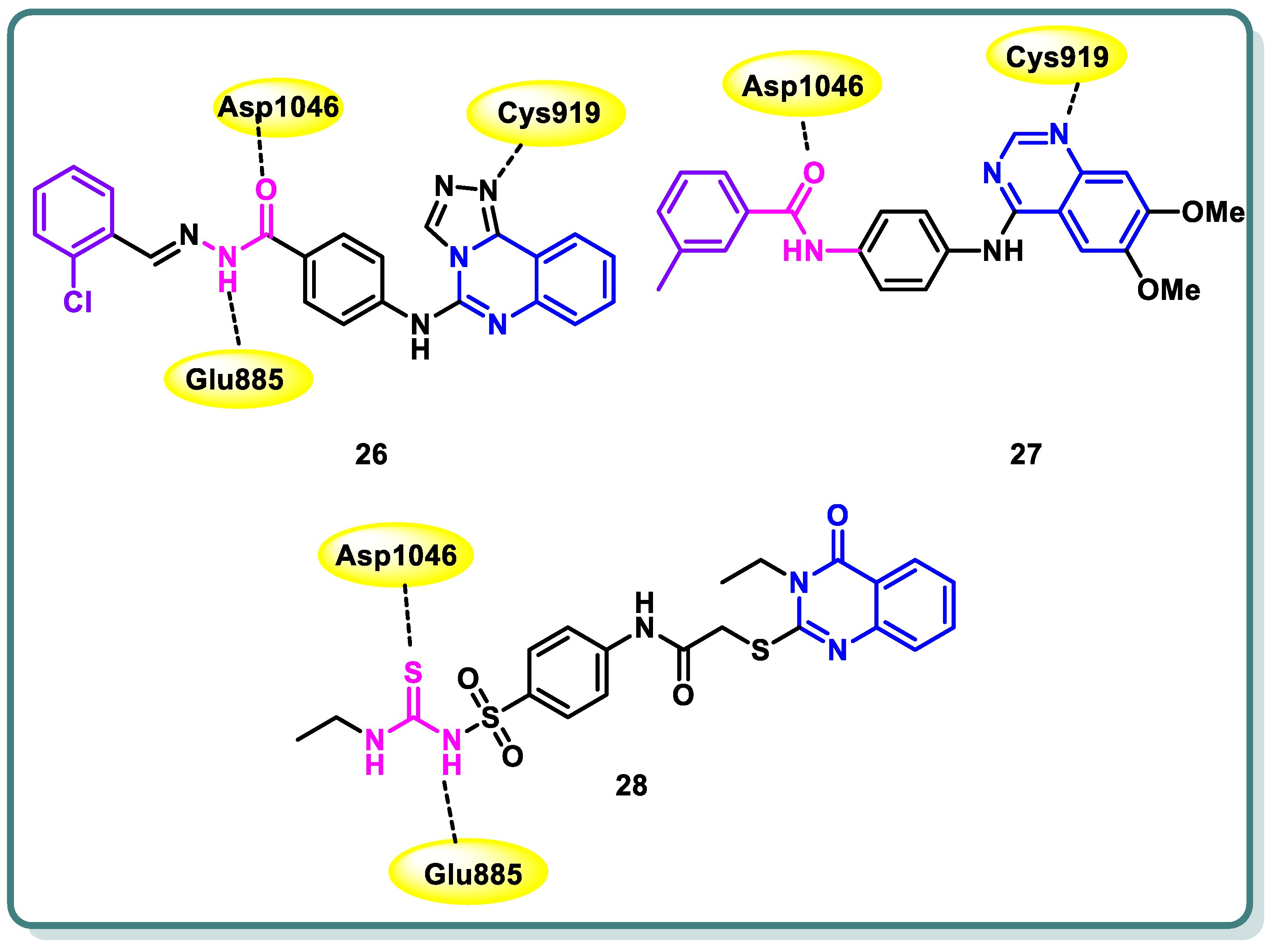 Molecules 29 00875 g012