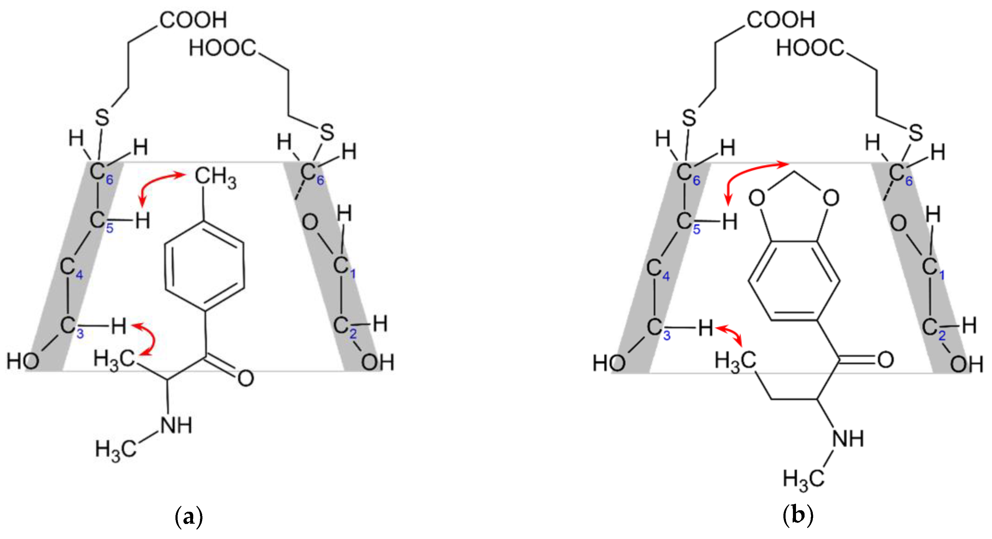 Molecules 29 00876 g006