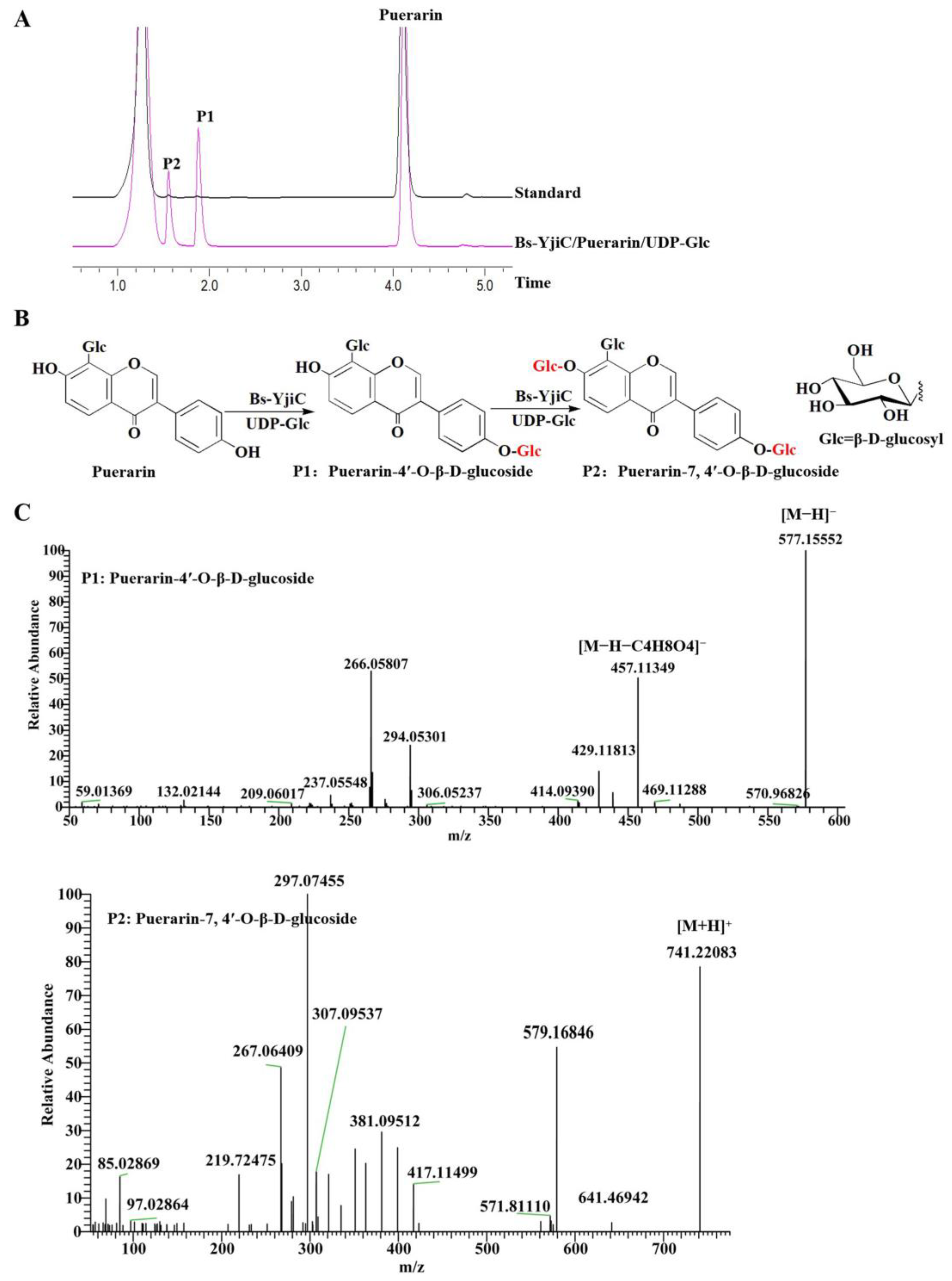 Molecules 29 00878 g001