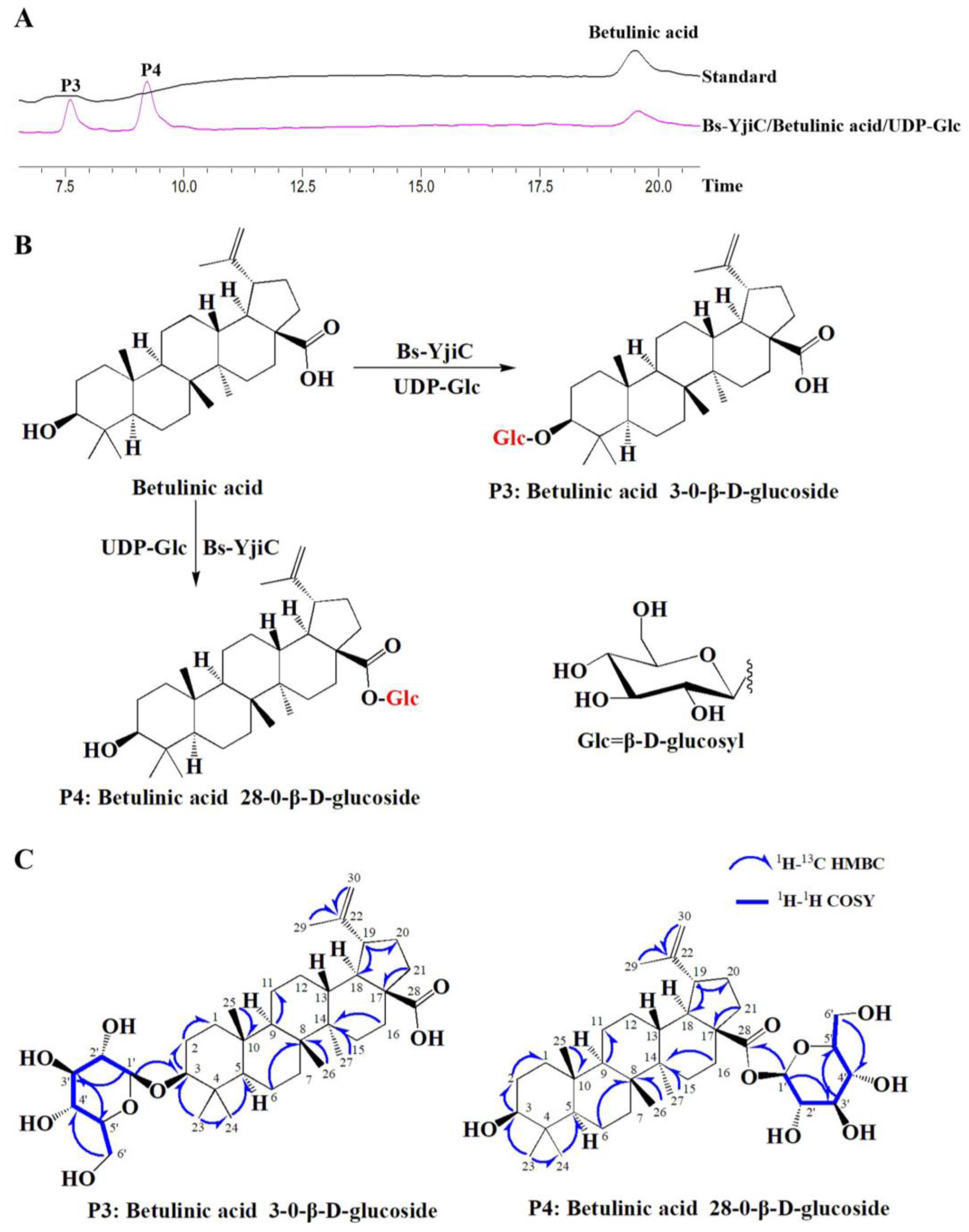 Molecules 29 00878 g002
