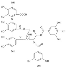 Molecules 29 00879 i002