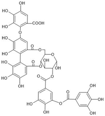 Molecules 29 00879 i003
