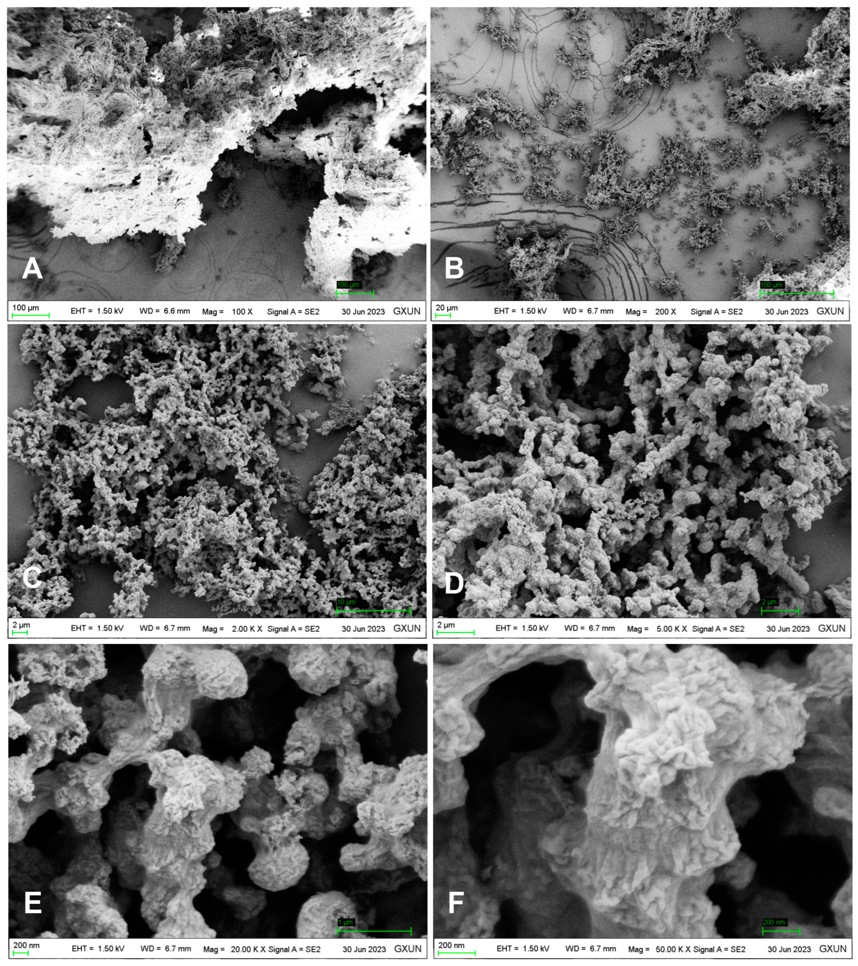 Molecules 29 00880 g004
