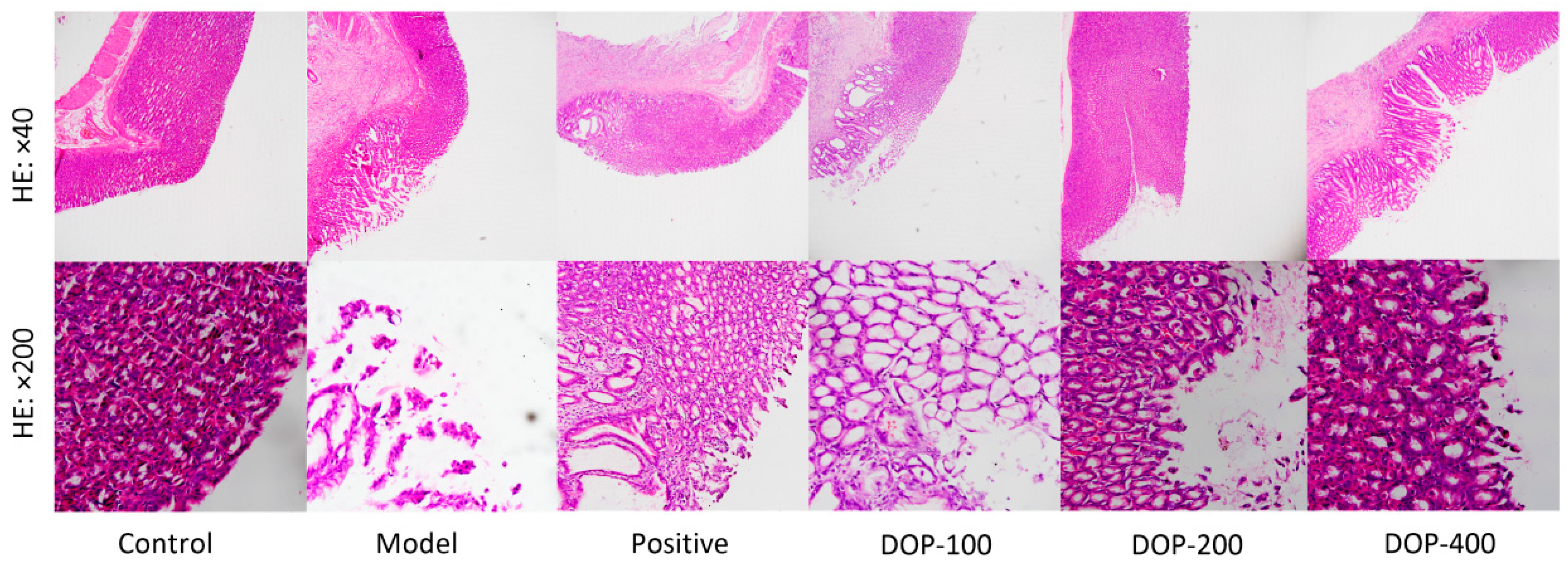 Molecules 29 00880 g007