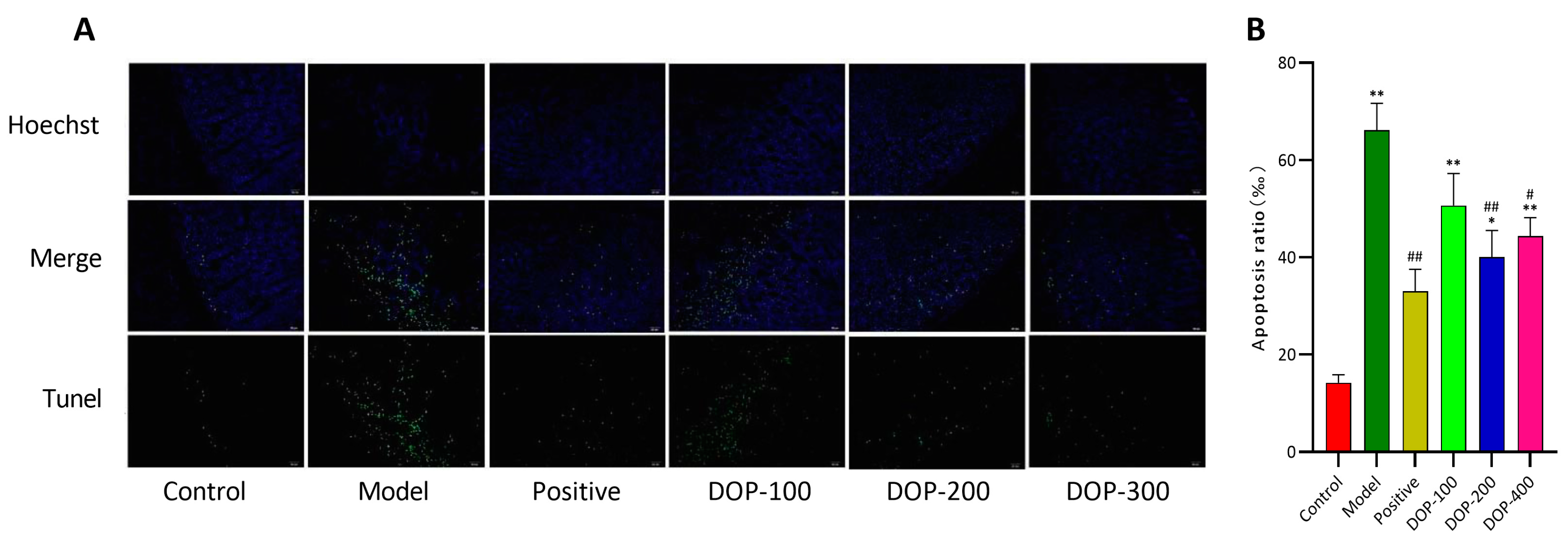 Molecules 29 00880 g008