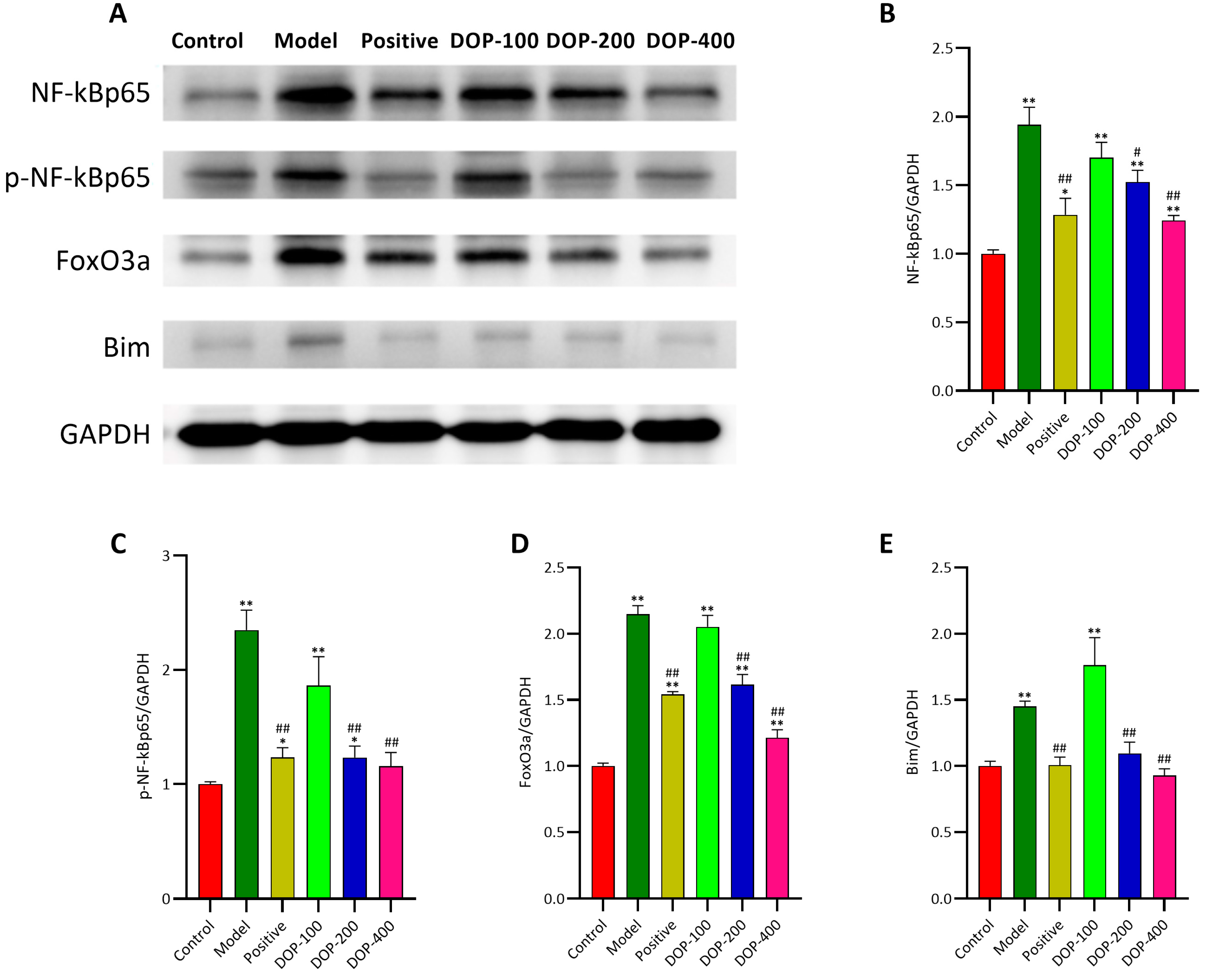 Molecules 29 00880 g012
